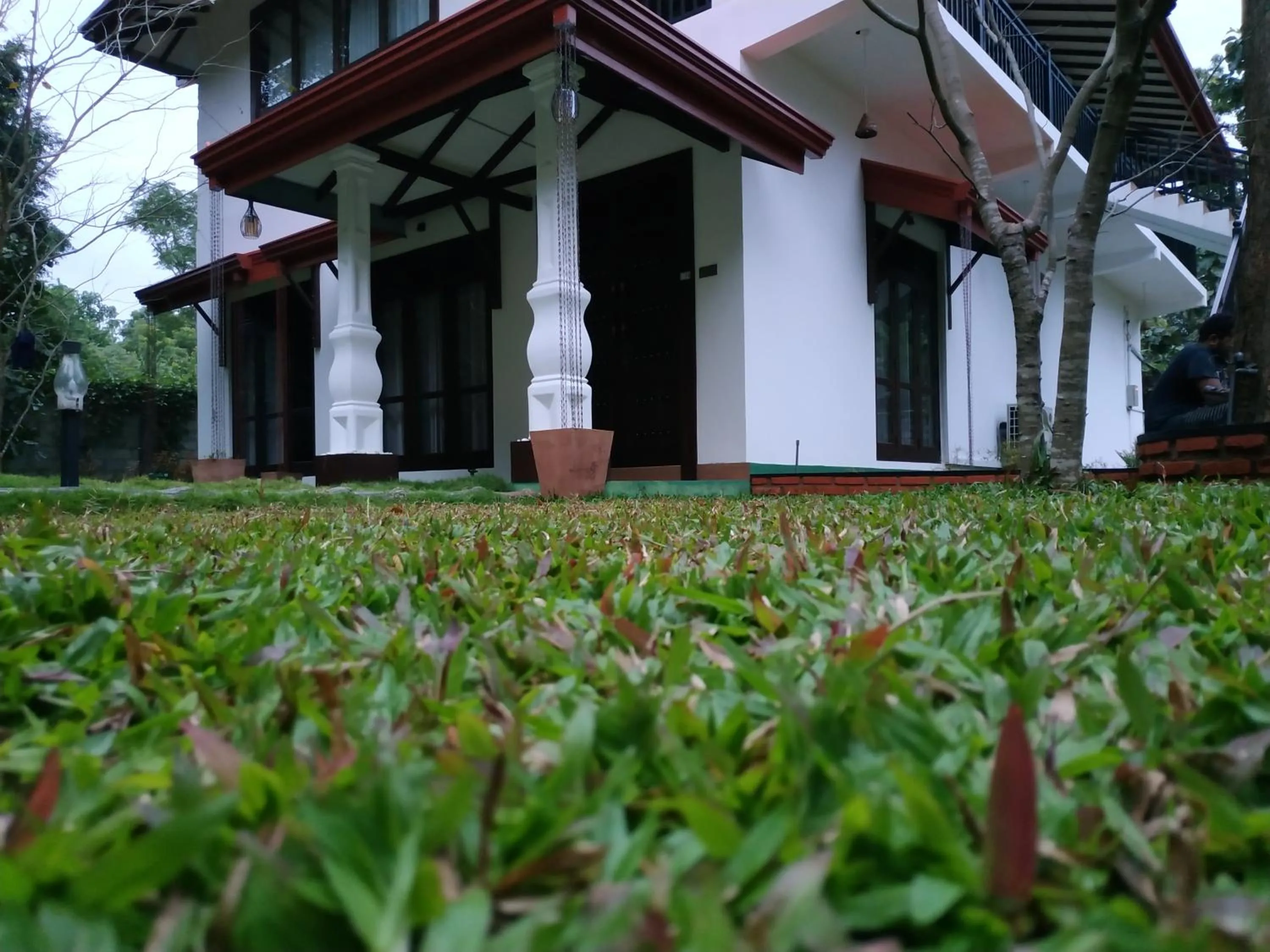 Garden in Sigiriya Cashew Palace Resort
