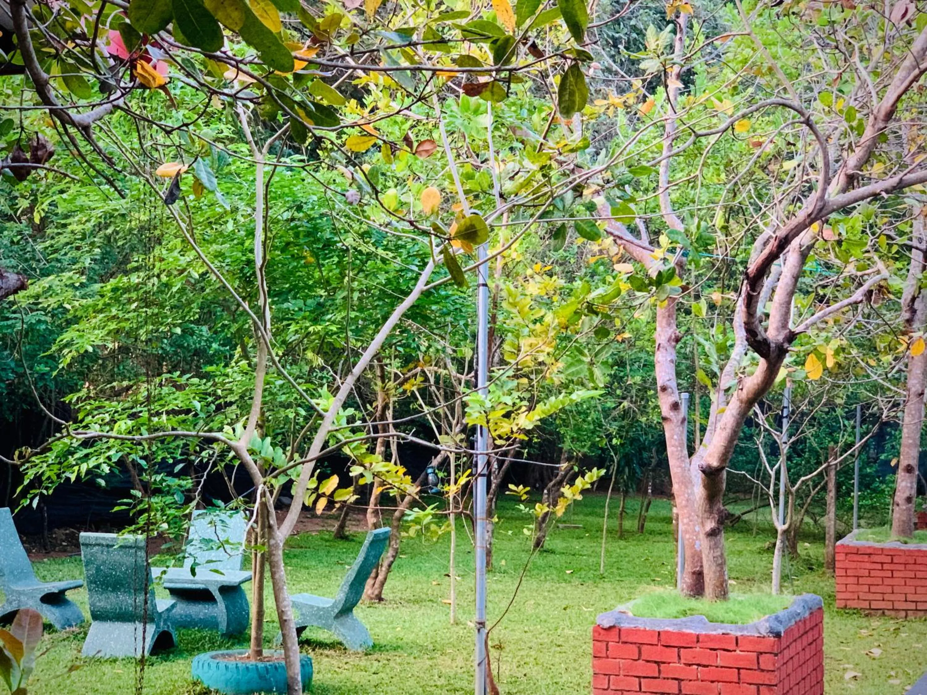 Garden view in Sigiriya Cashew Palace Resort