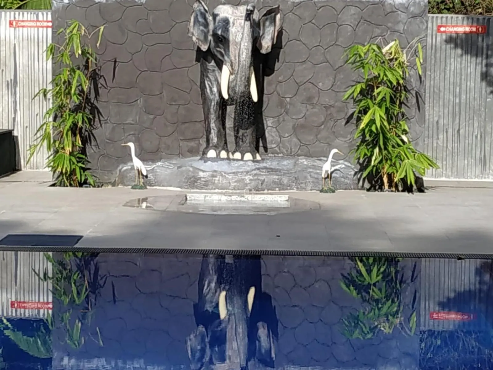 Swimming pool in Sigiriya Cashew Palace Resort