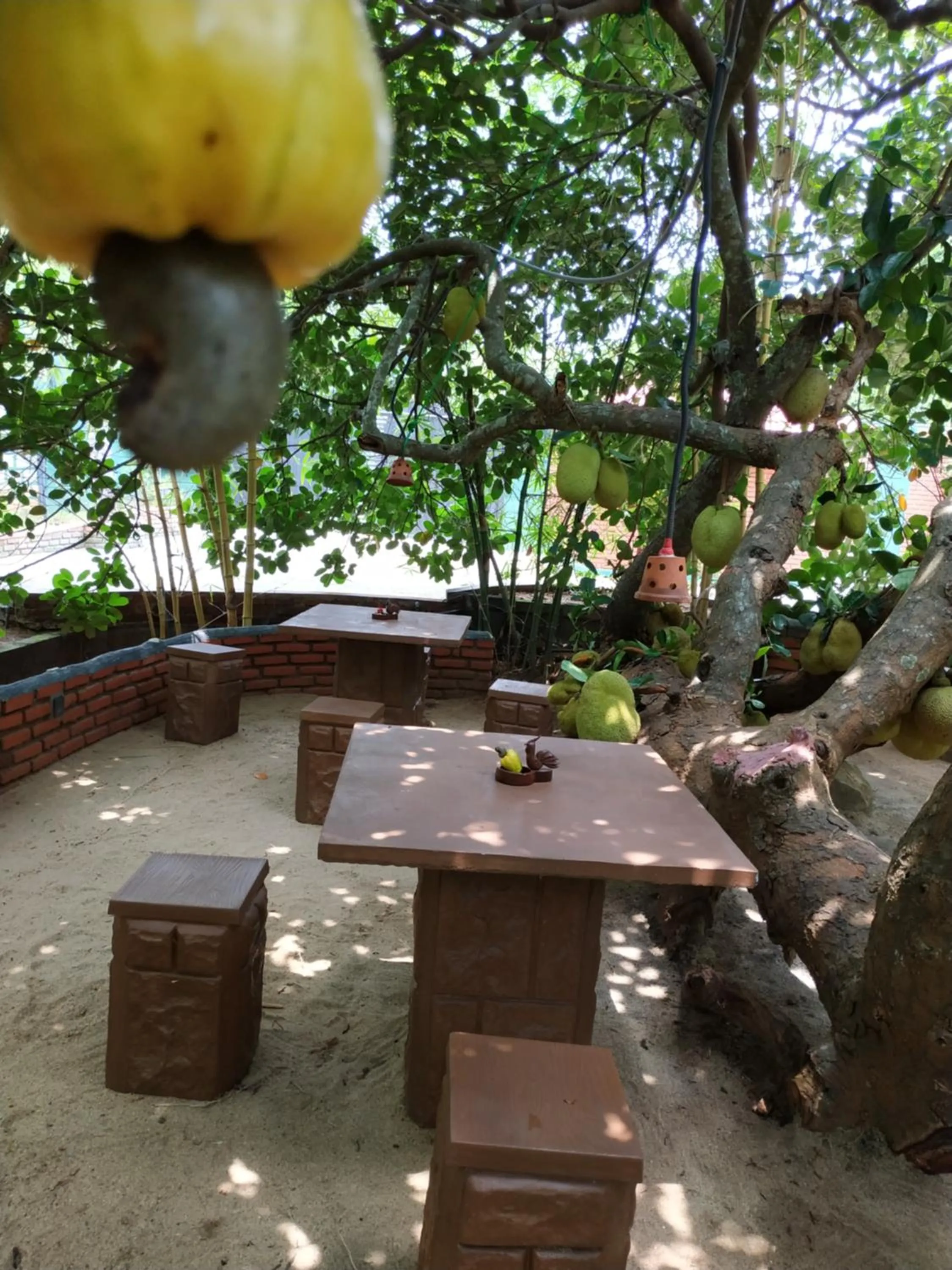 Garden in Sigiriya Cashew Palace Resort
