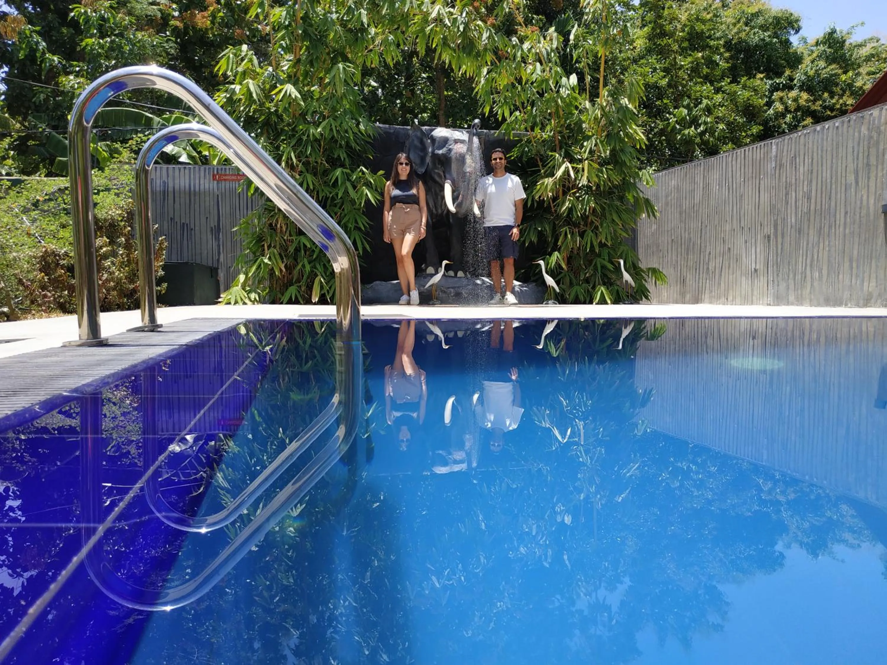 Pool view in Sigiriya Cashew Palace Resort