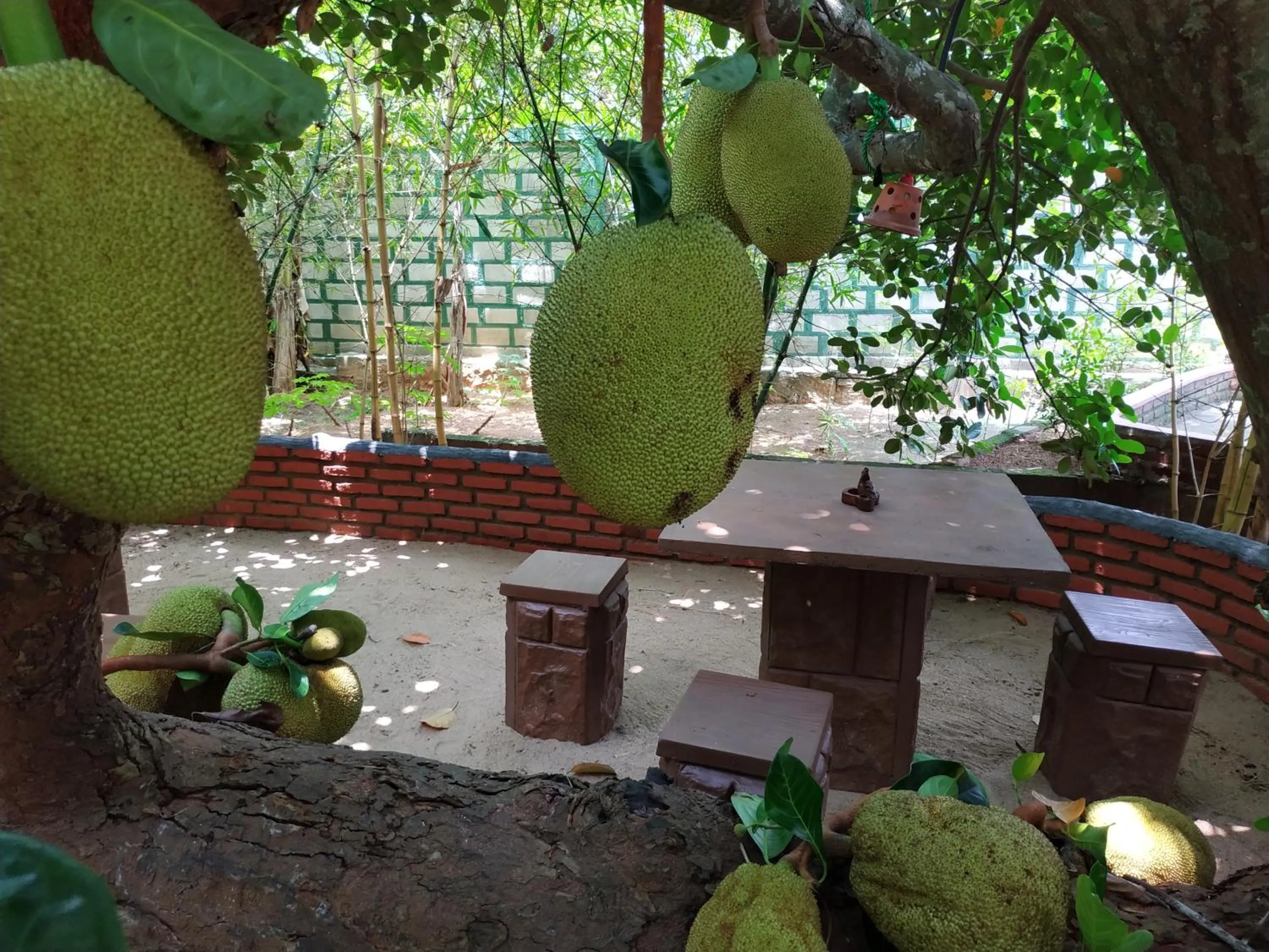 Sigiriya Cashew Palace Resort