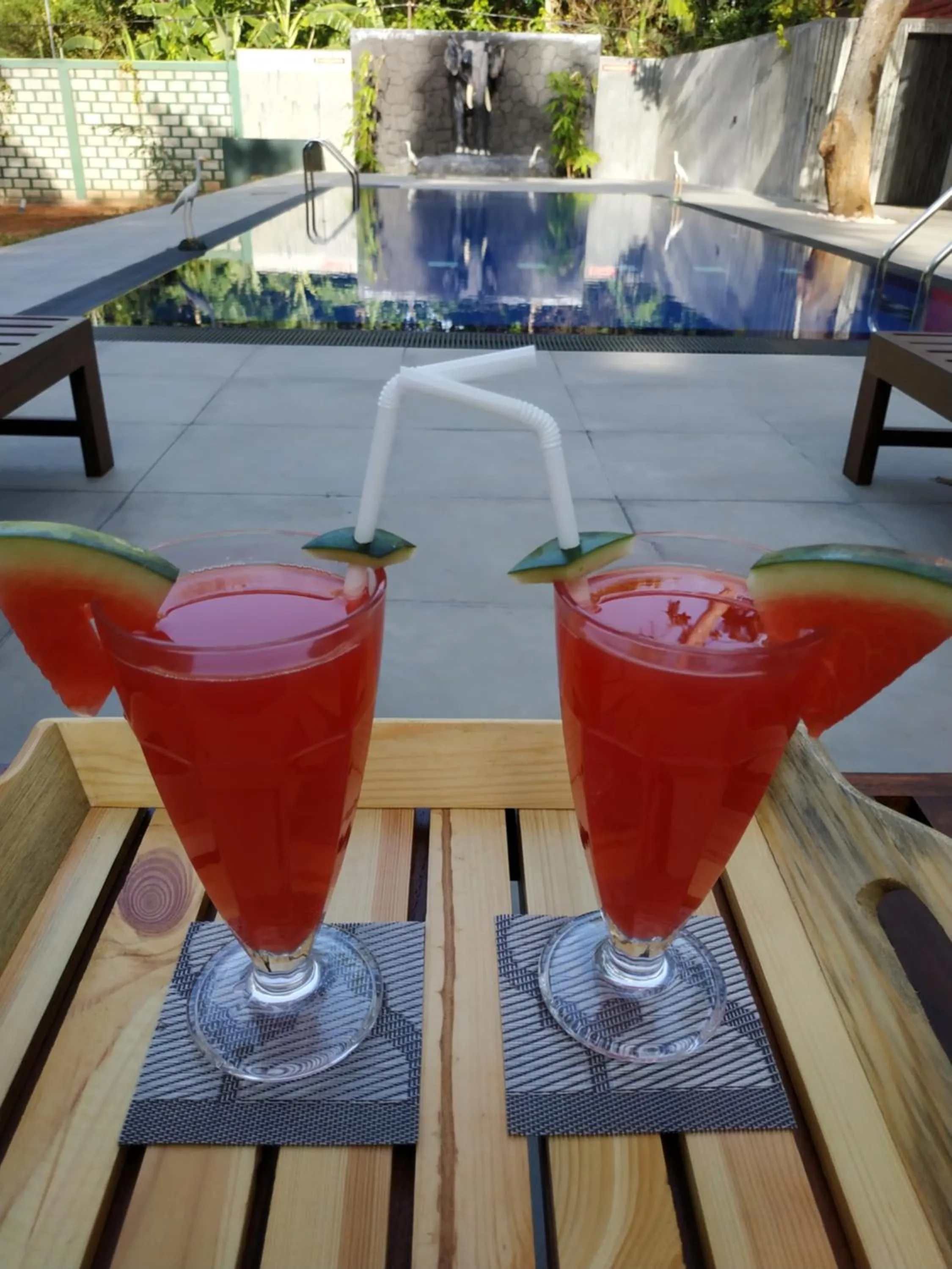 Sigiriya Cashew Palace Resort