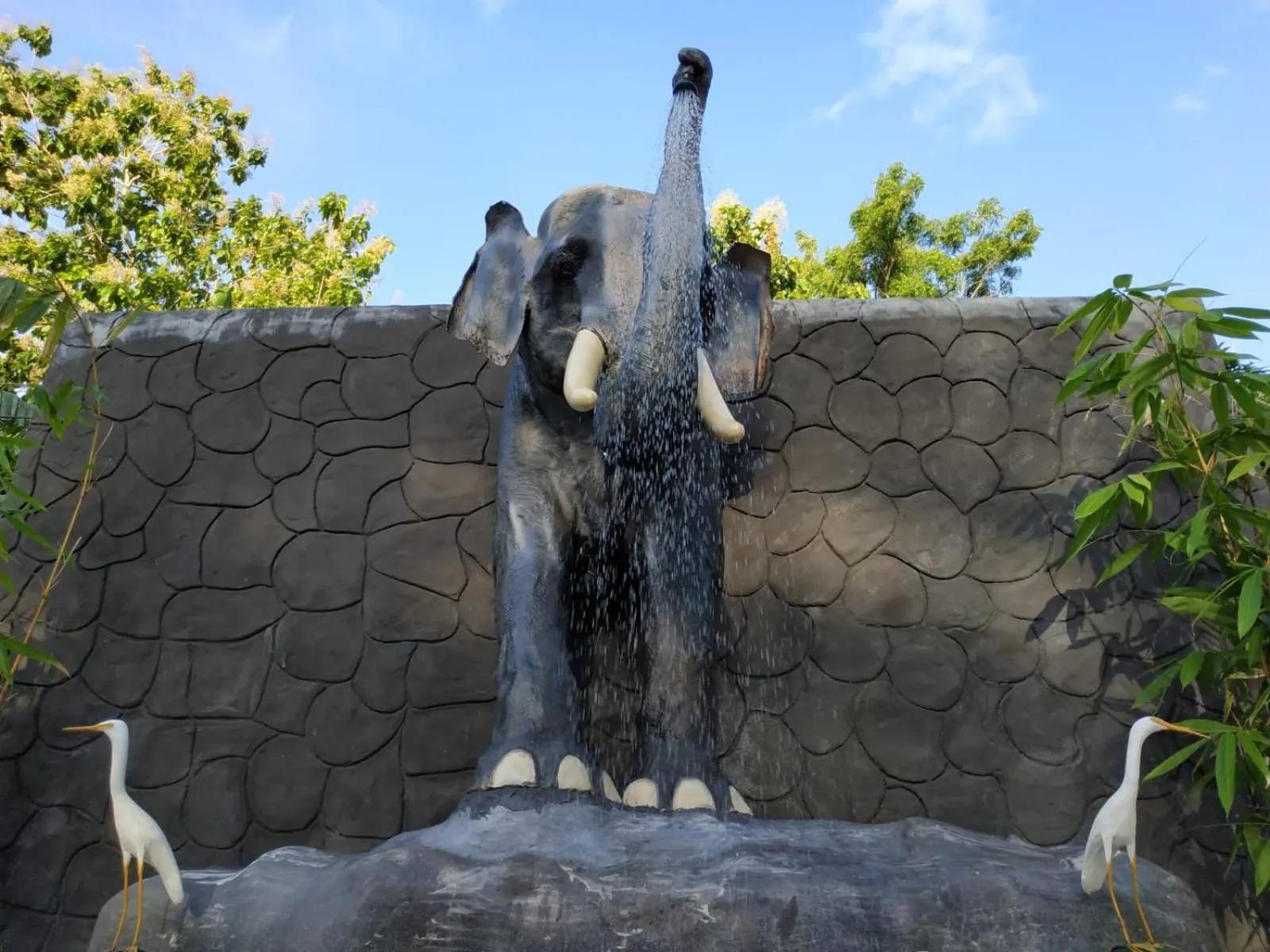 Swimming pool in Sigiriya Cashew Palace Resort