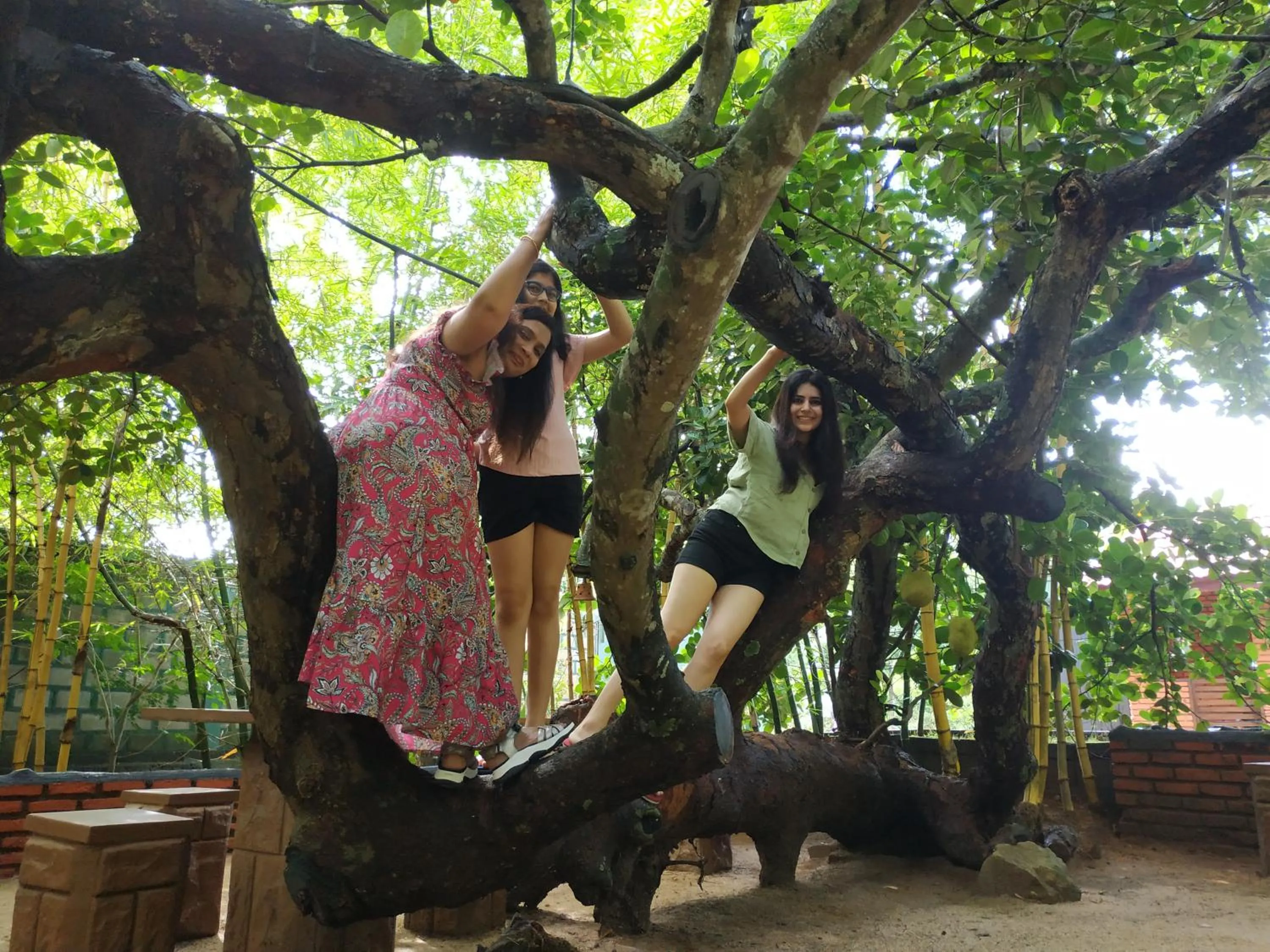 Sigiriya Cashew Palace Resort