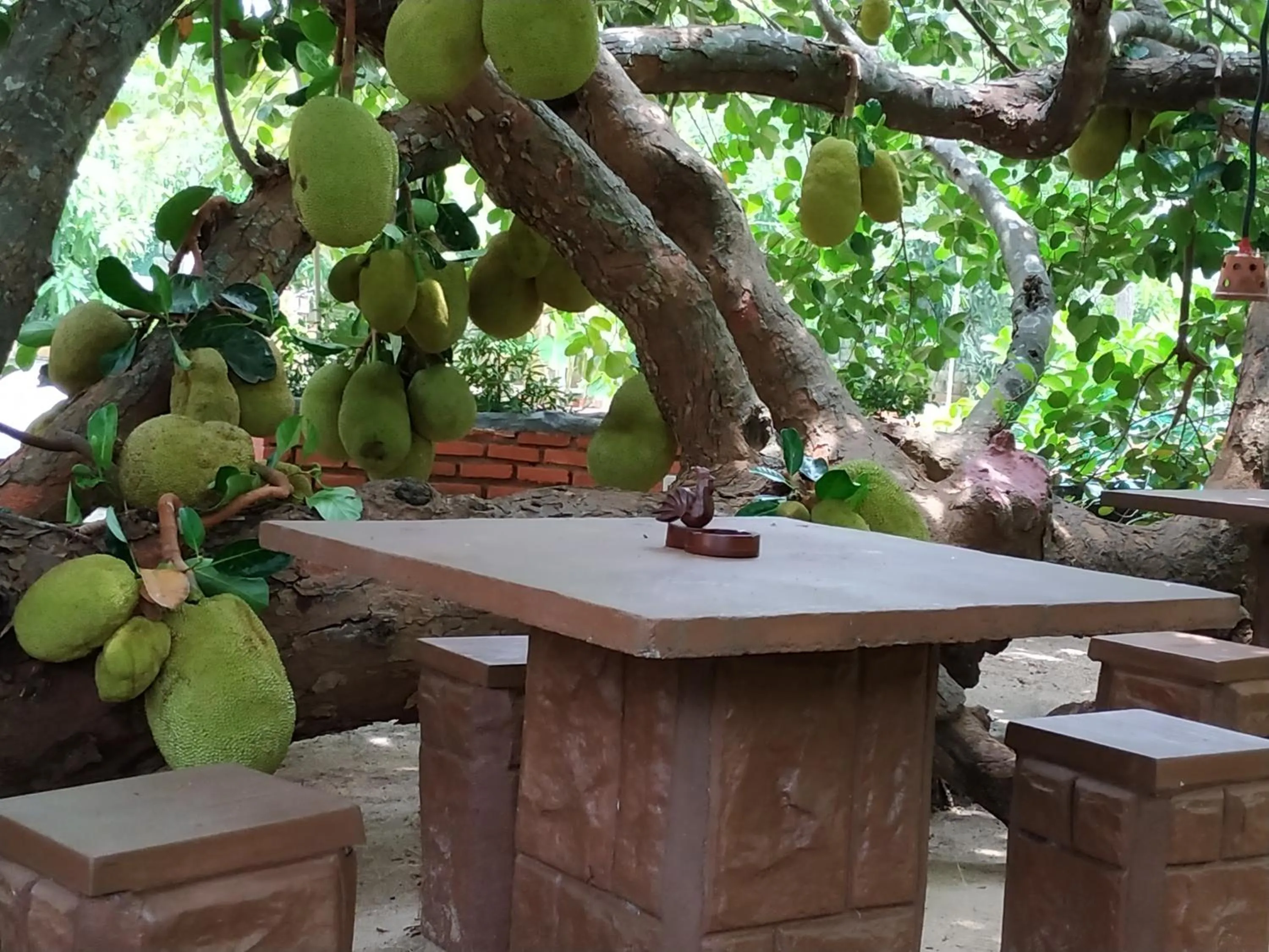 Balcony/Terrace in Sigiriya Cashew Palace Resort