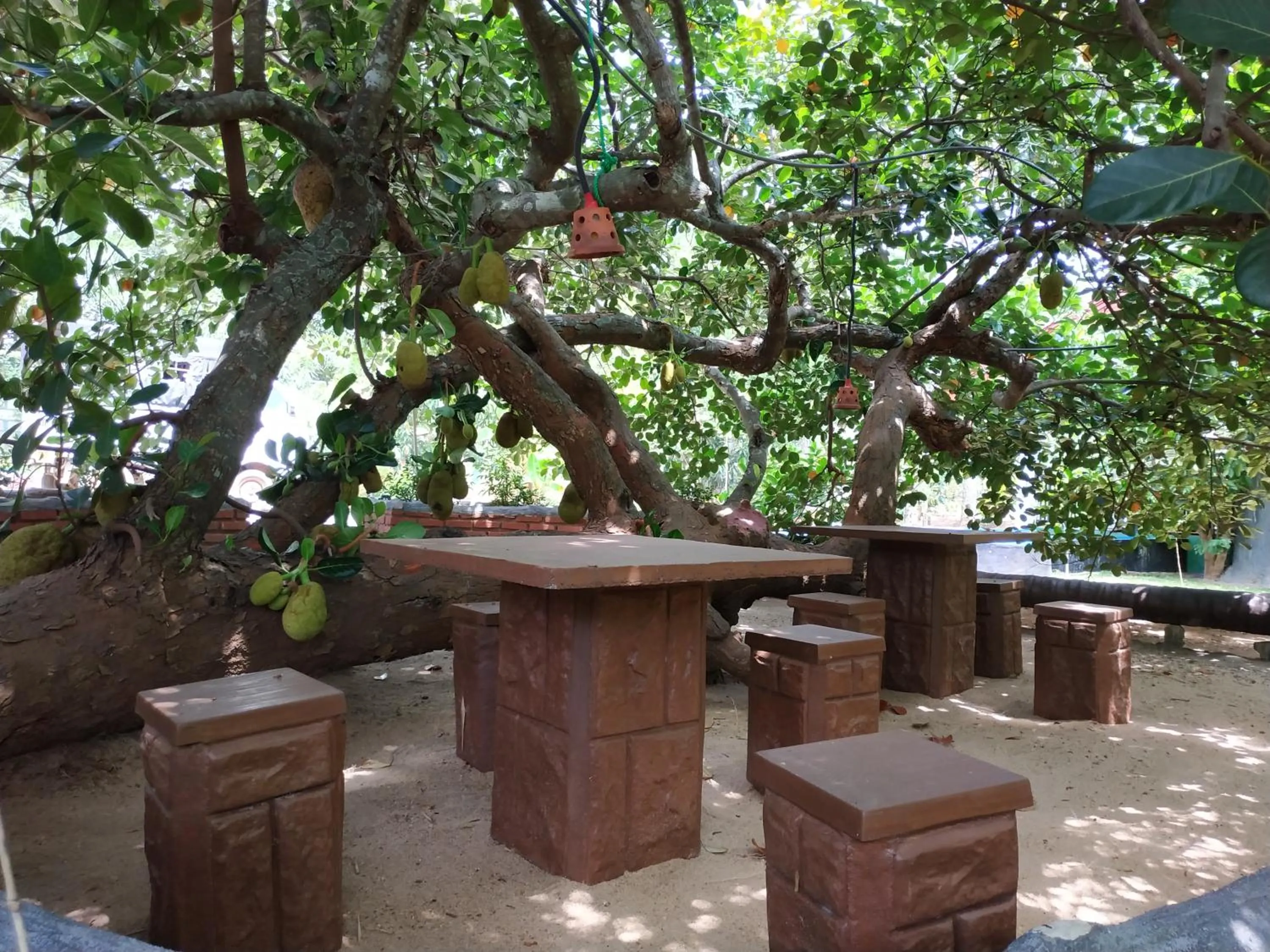 Balcony/Terrace in Sigiriya Cashew Palace Resort
