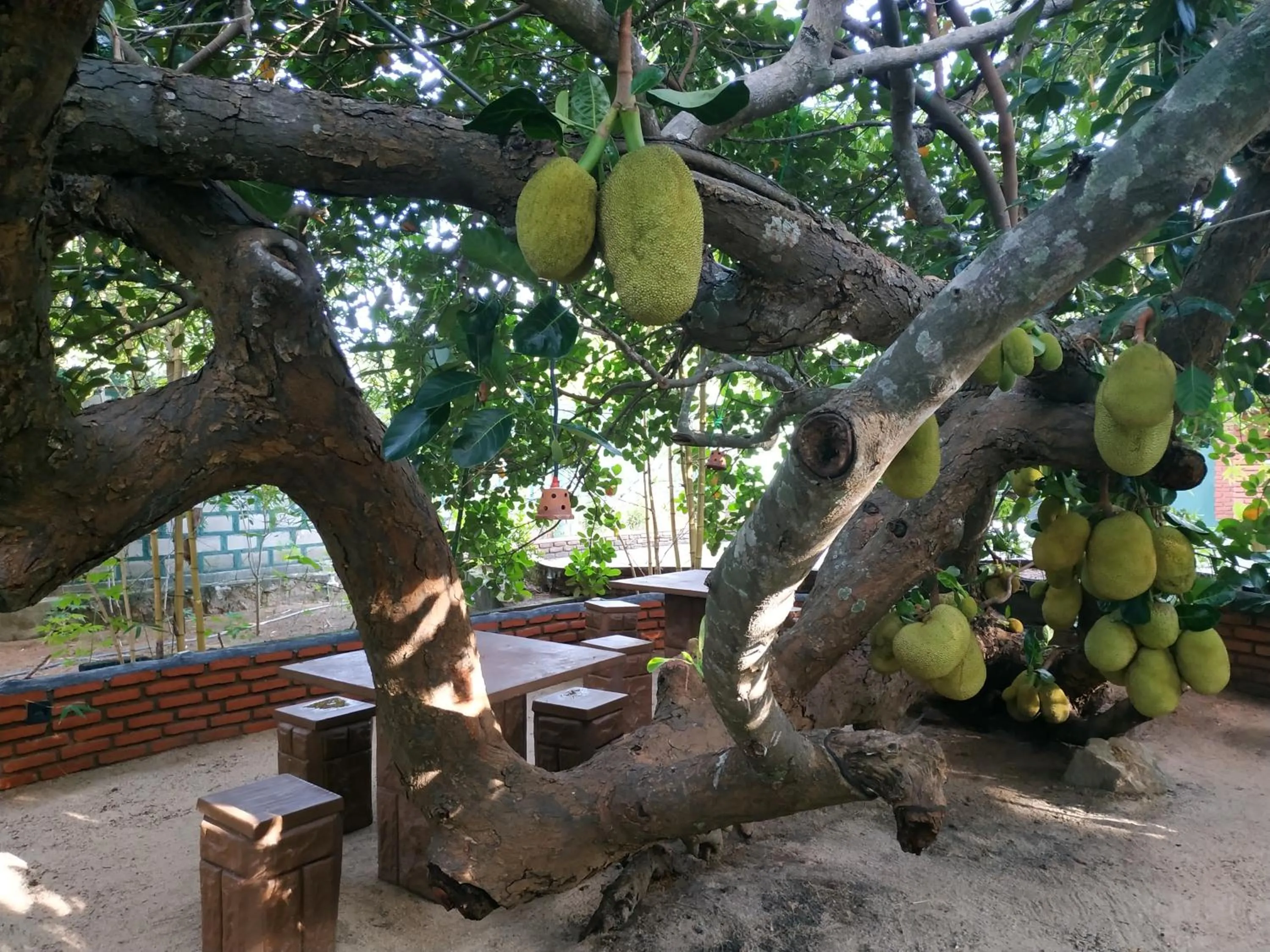 Balcony/Terrace in Sigiriya Cashew Palace Resort