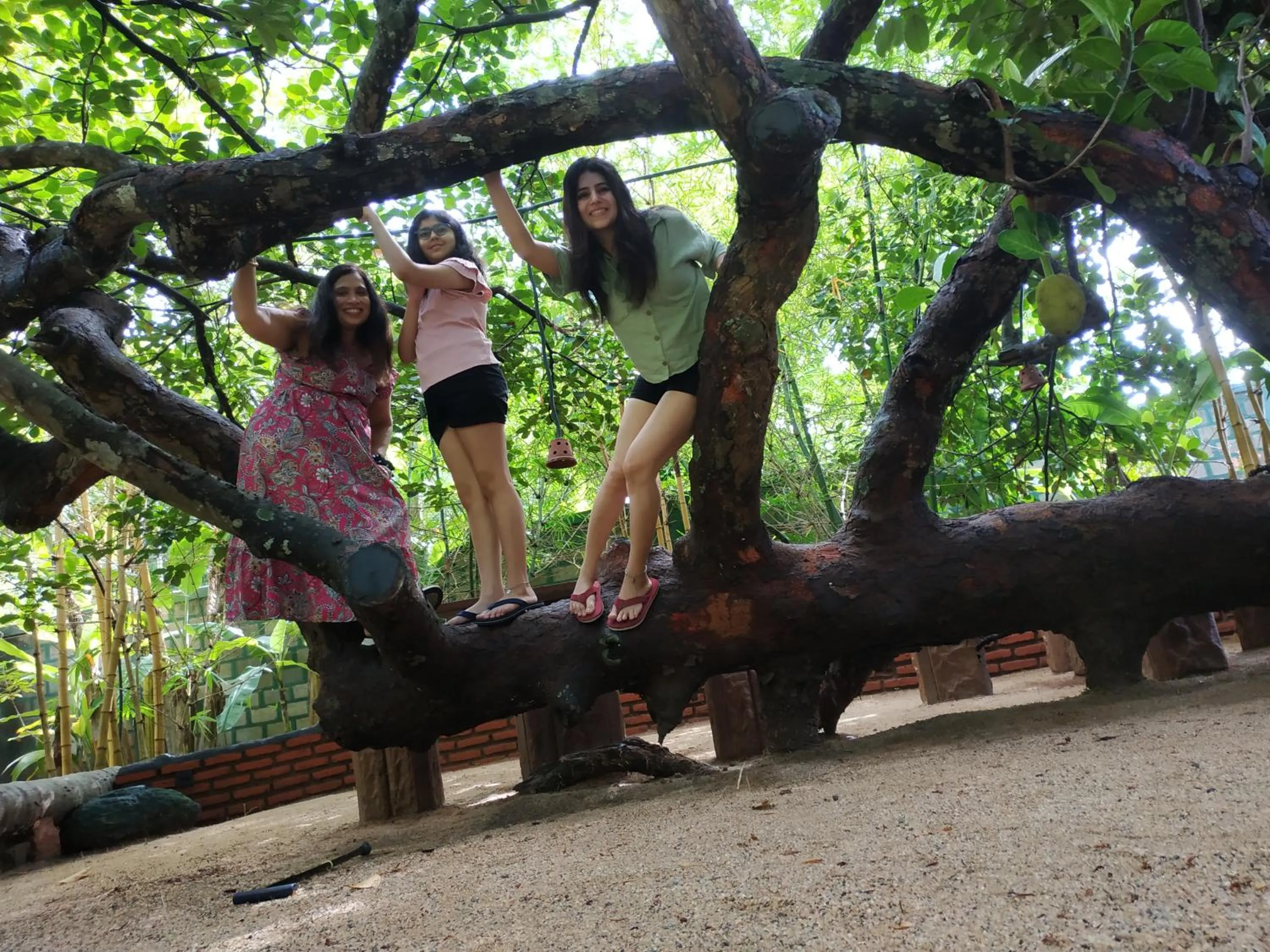 group of guests in Sigiriya Cashew Palace Resort