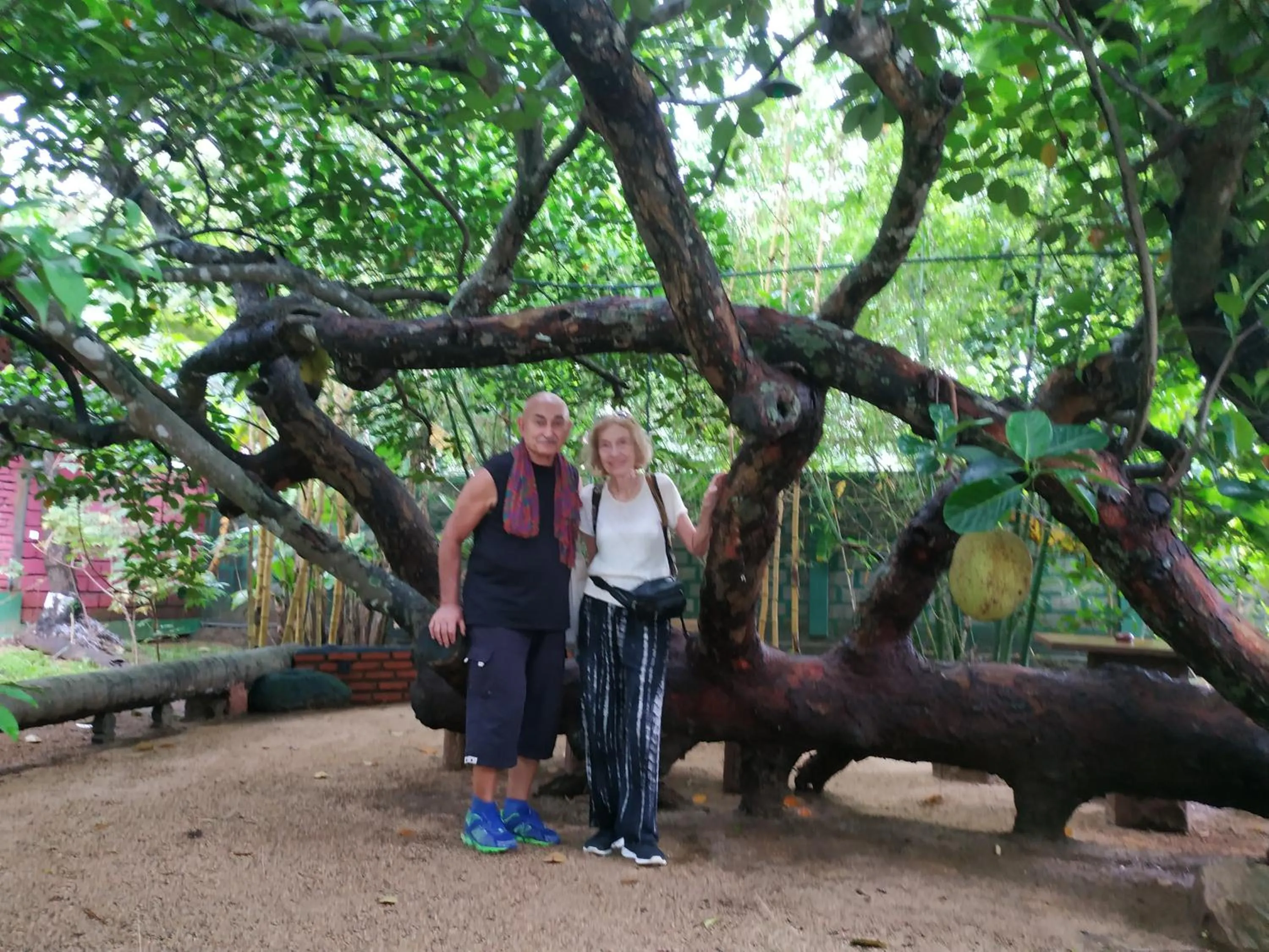 Sigiriya Cashew Palace Resort