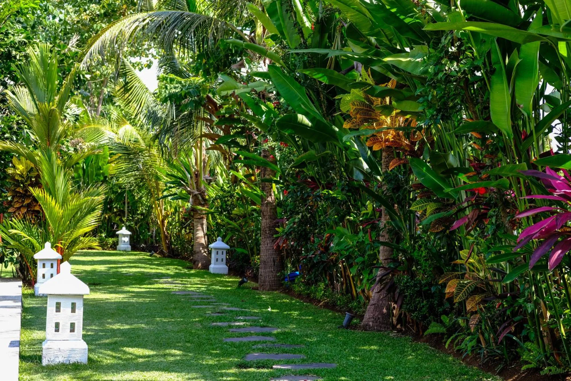 Garden in Villa Mata Hari