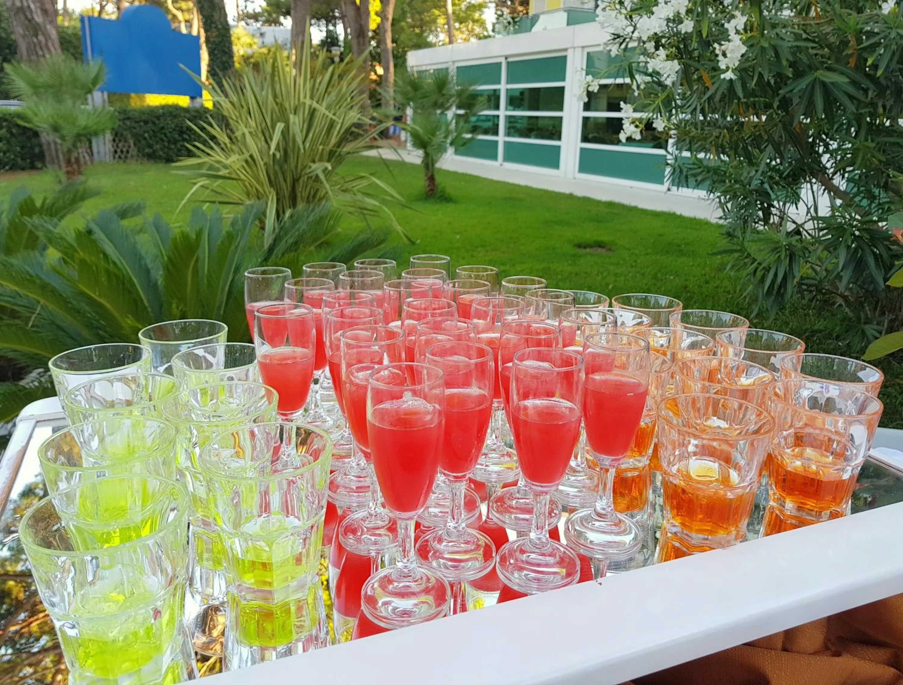 Alcoholic drinks in Hotel Mediterraneo