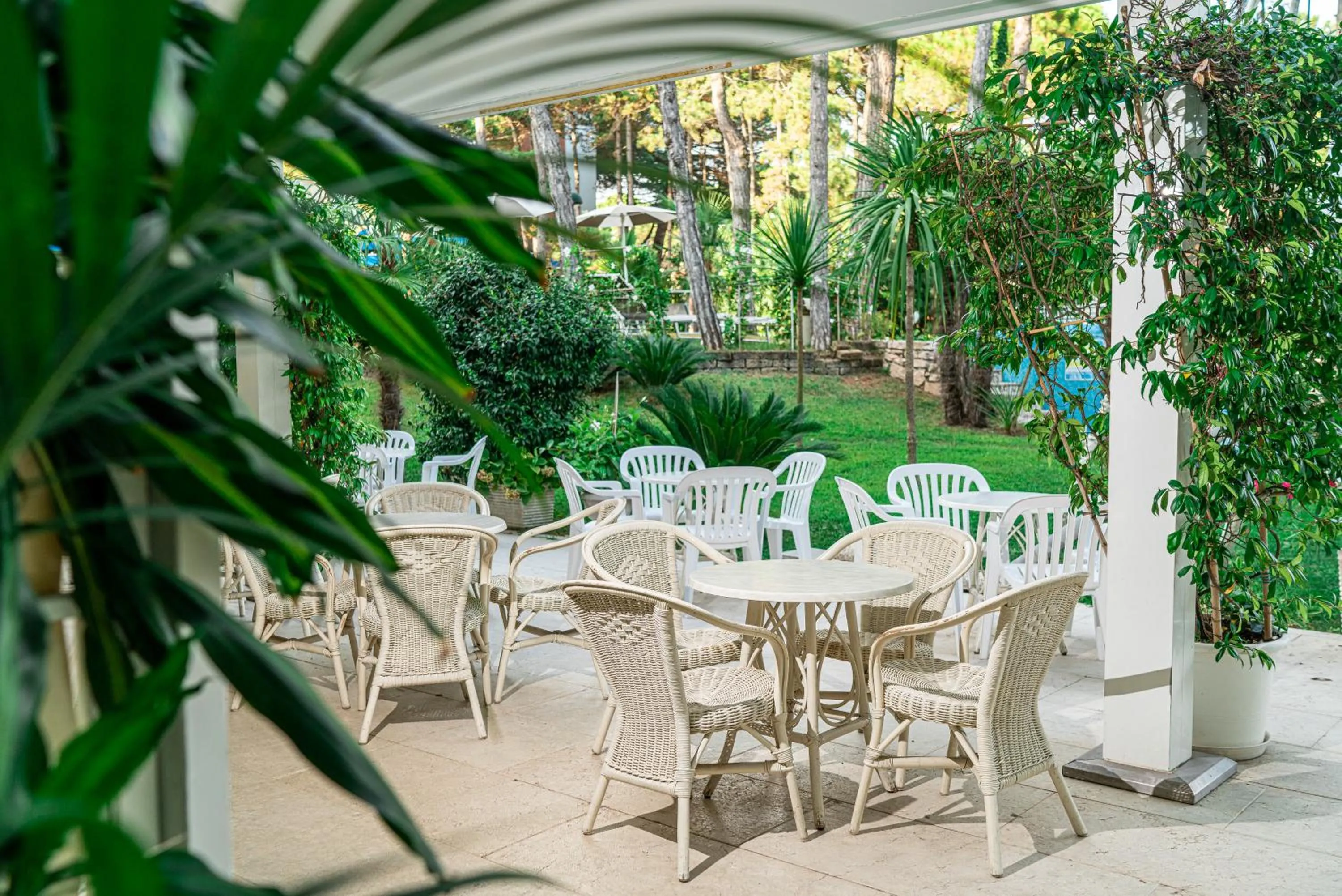 Patio in Hotel Mediterraneo