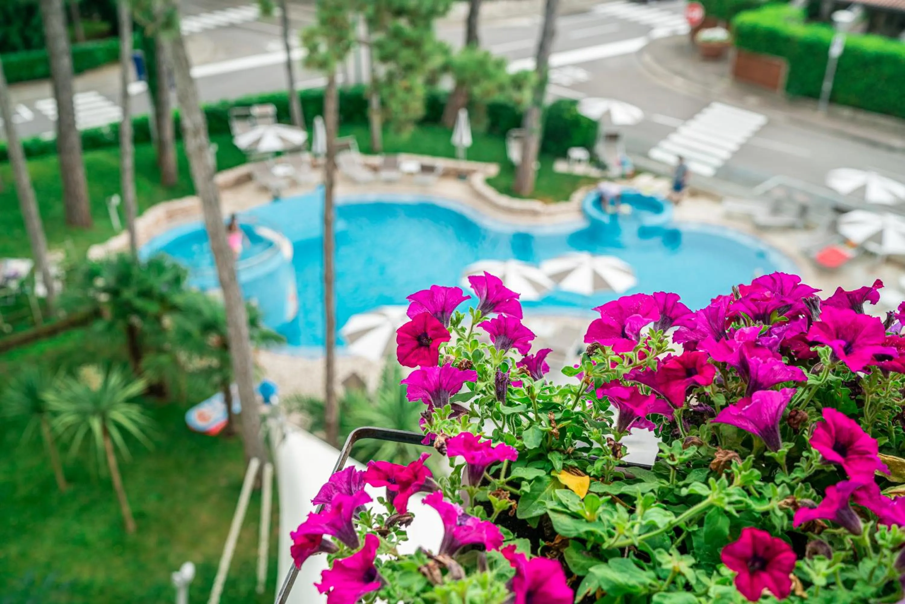 Garden view in Hotel Mediterraneo