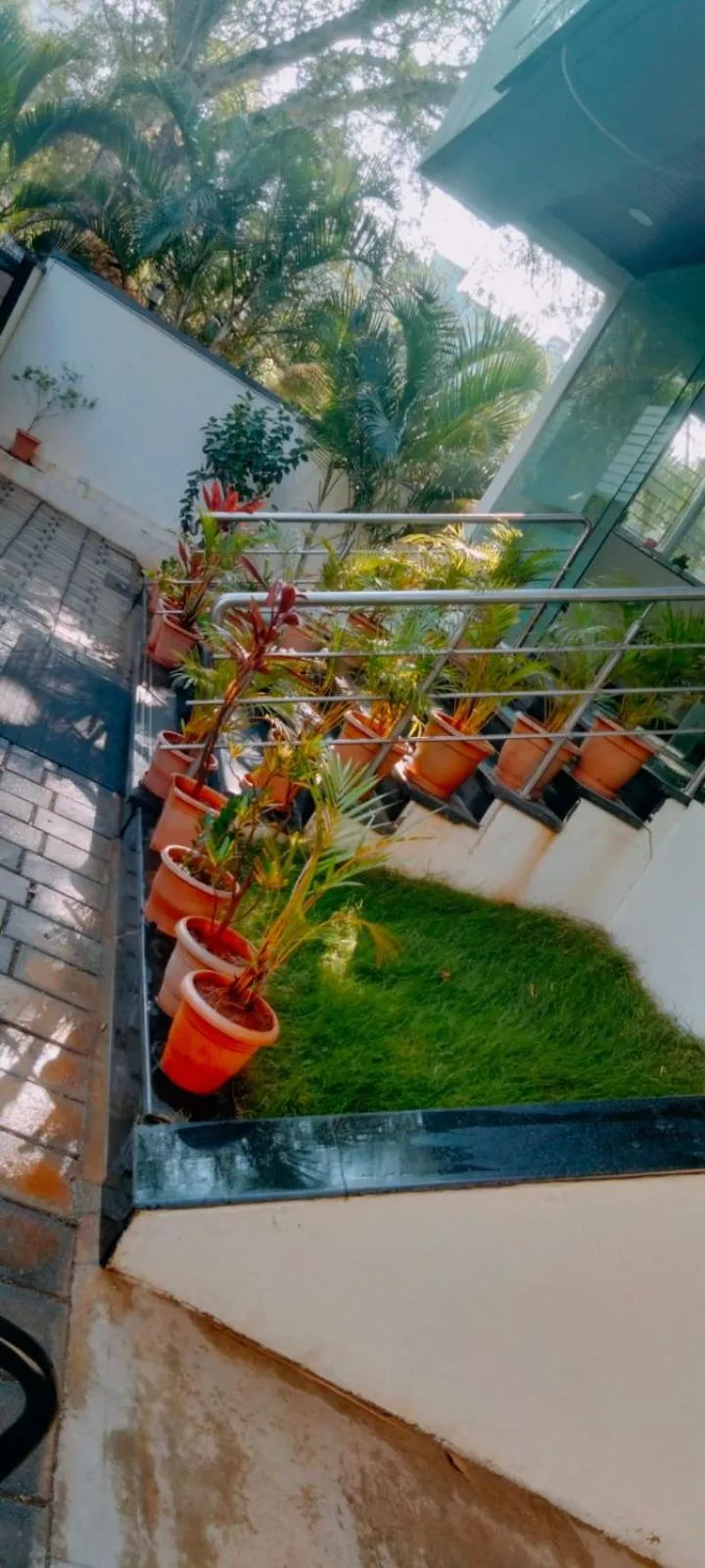 SERENE INTERNATIONAL