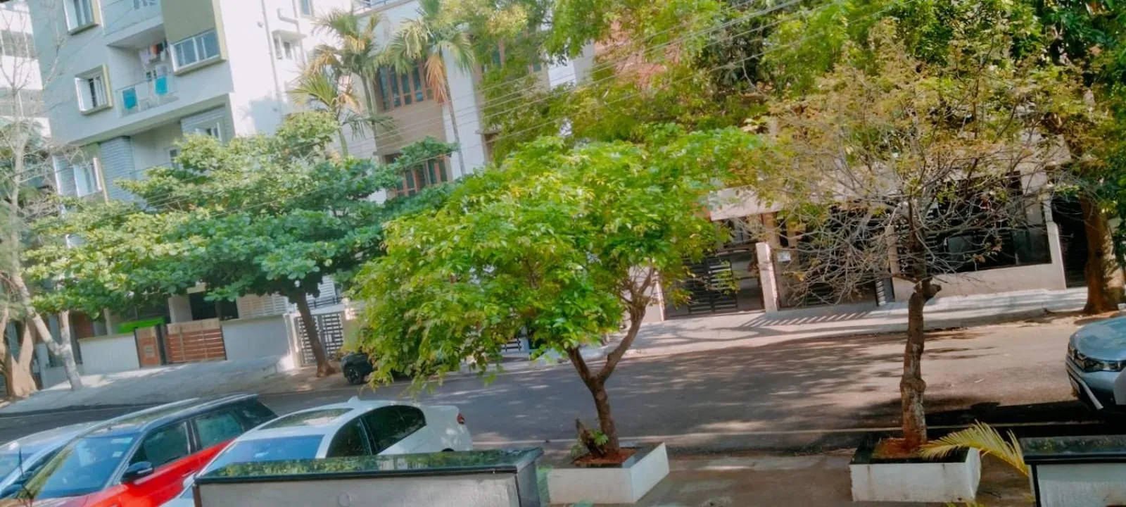 SERENE INTERNATIONAL