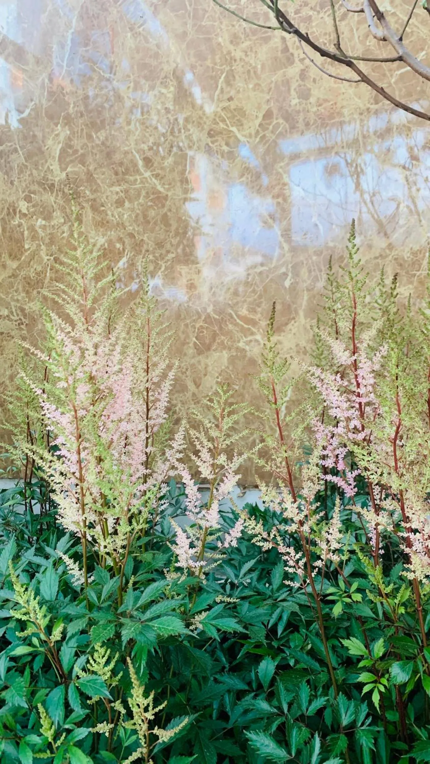 Natural landscape in DALAT STREAM HOTEL-Khách sạn đẹp Đà Lạt