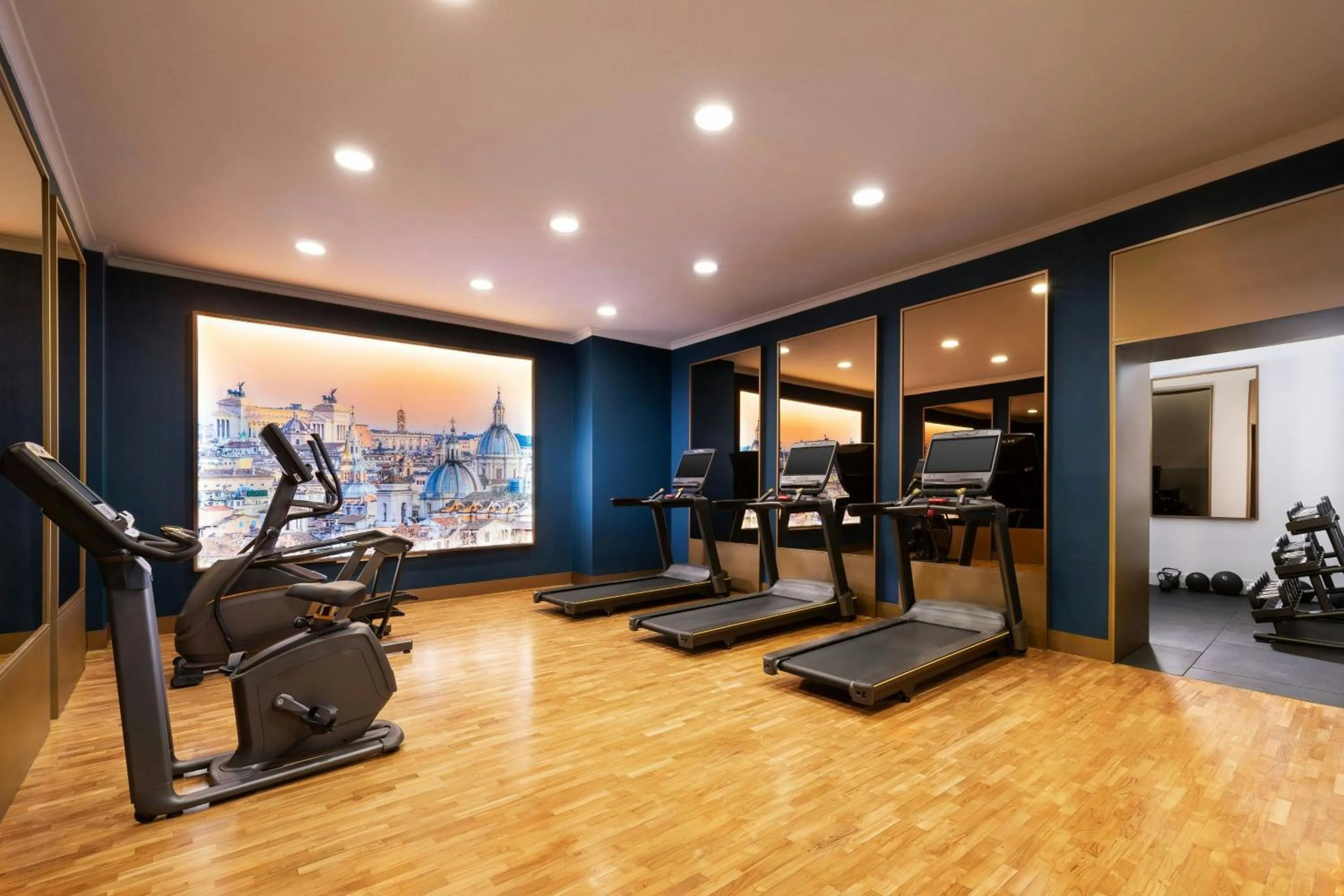 Fitness centre/facilities in Sina Bernini Bristol, Autograph Collection