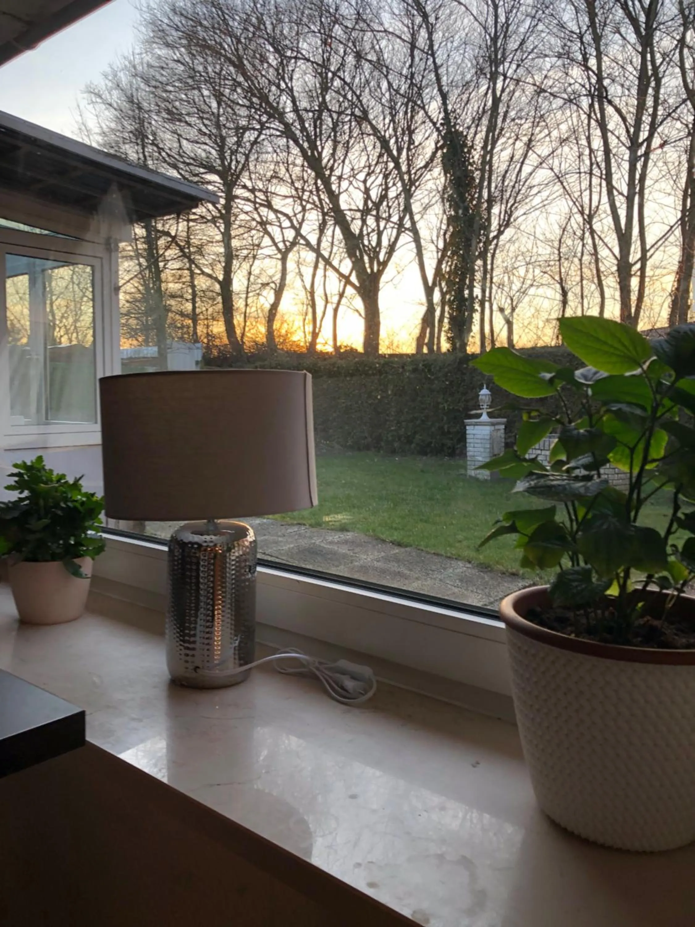 Garden in pension-seegarten