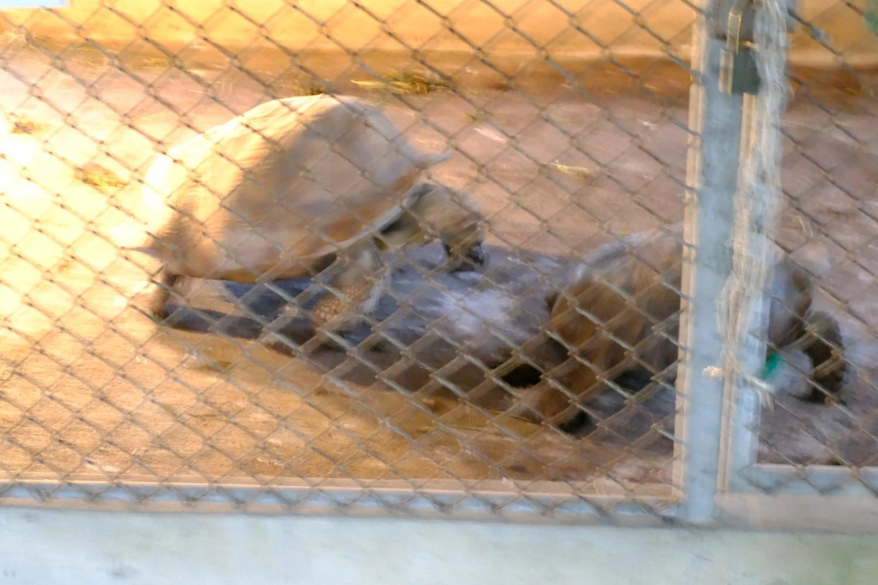 Property building in Wan Resort Rayong