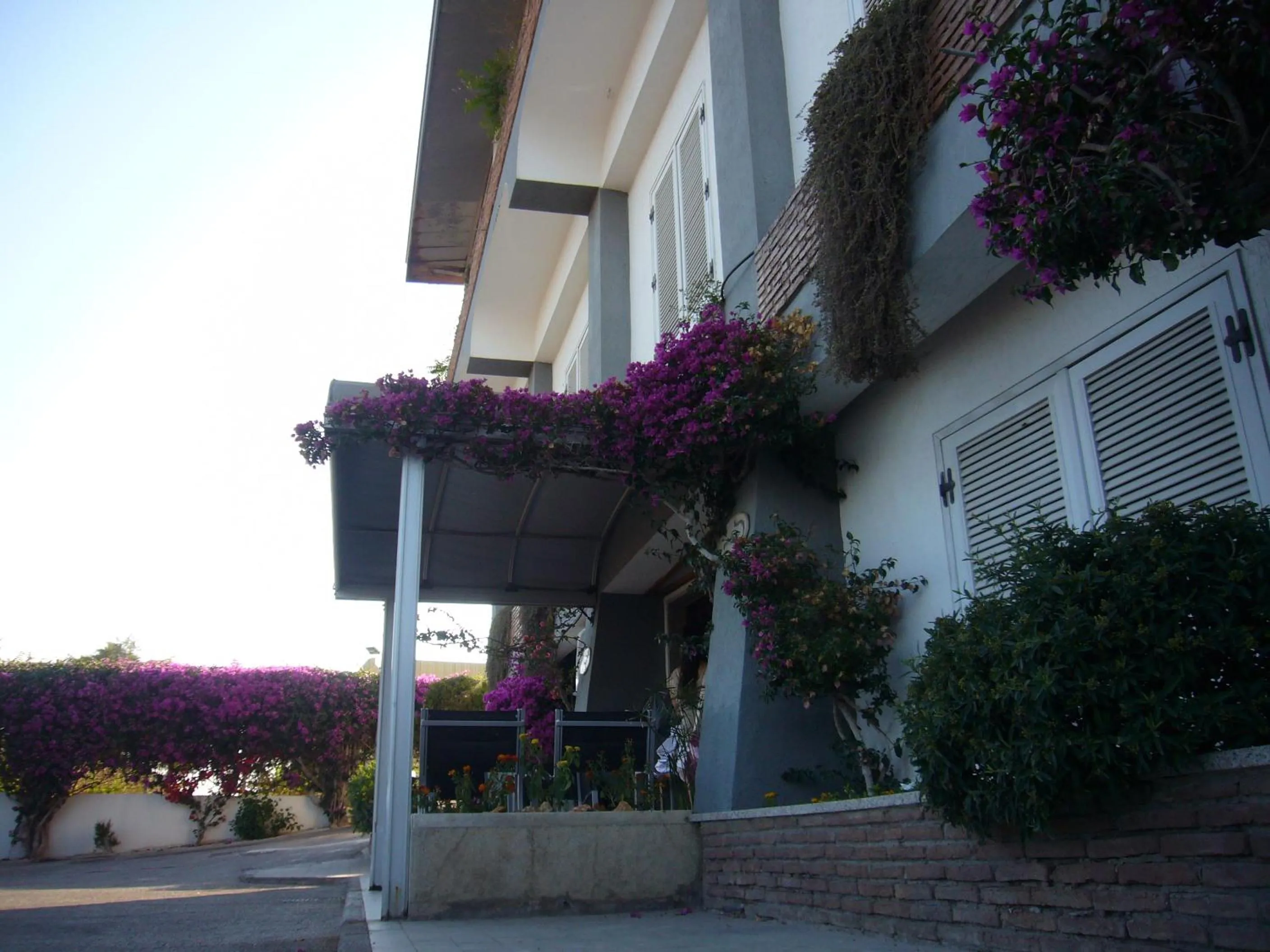 Facade/entrance in Hotel La Tripergola