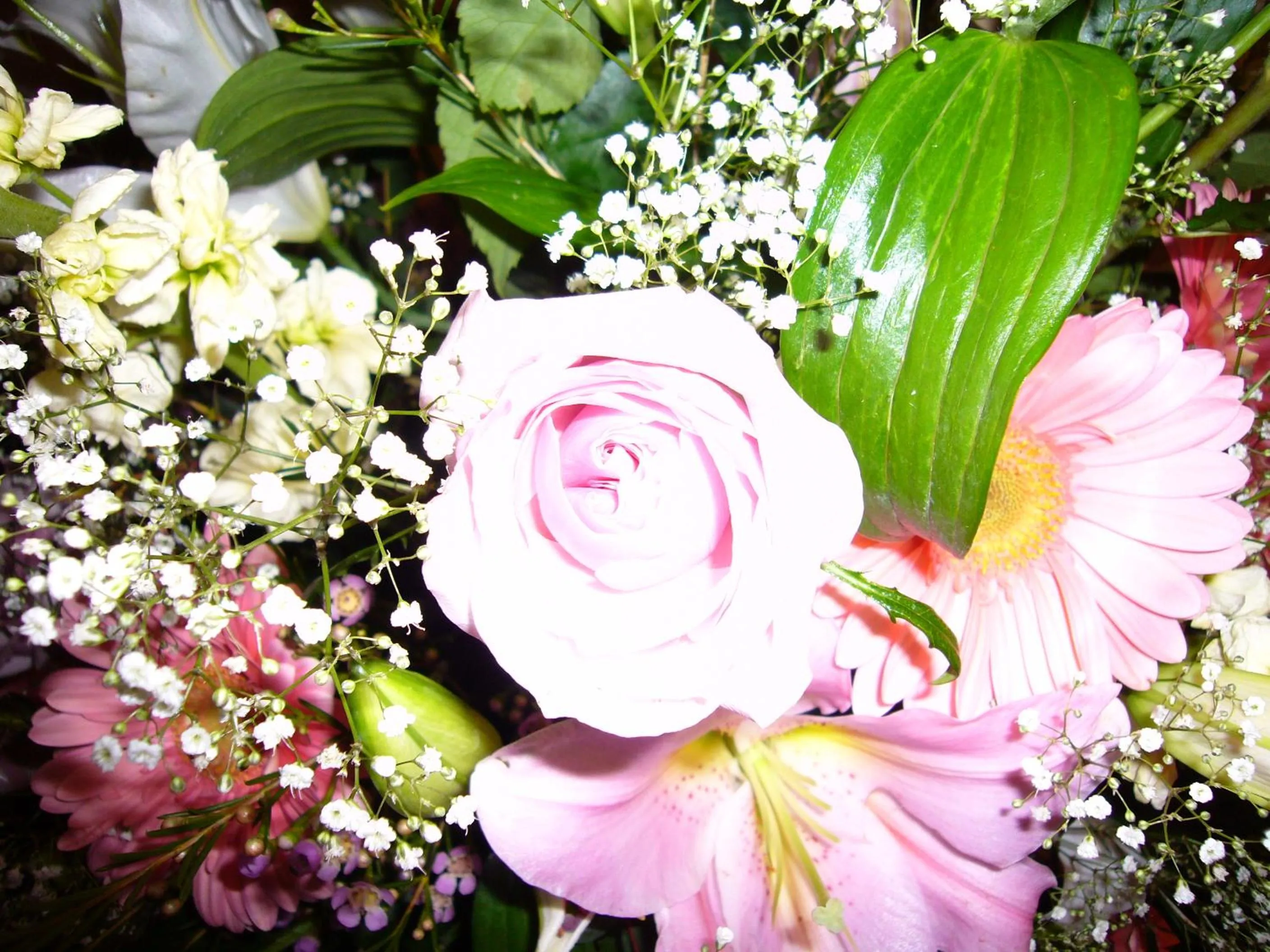 Other in Hotel La Tripergola