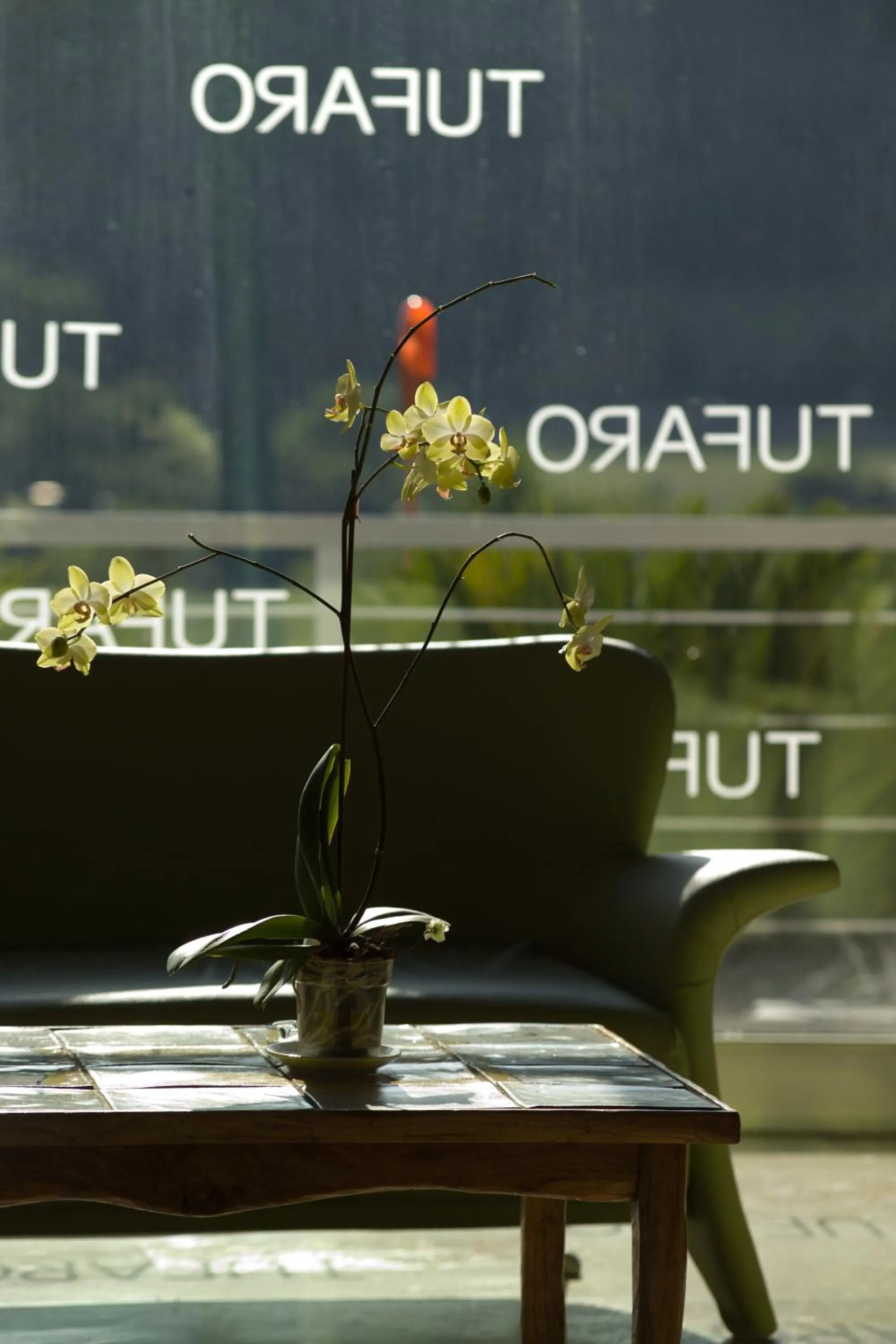 Area and facilities in Terme Del Tufaro