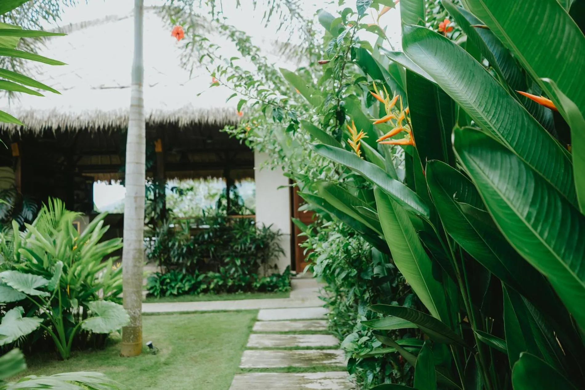 Garden in PORTER HOTEL - Surf & Yoga Retreat