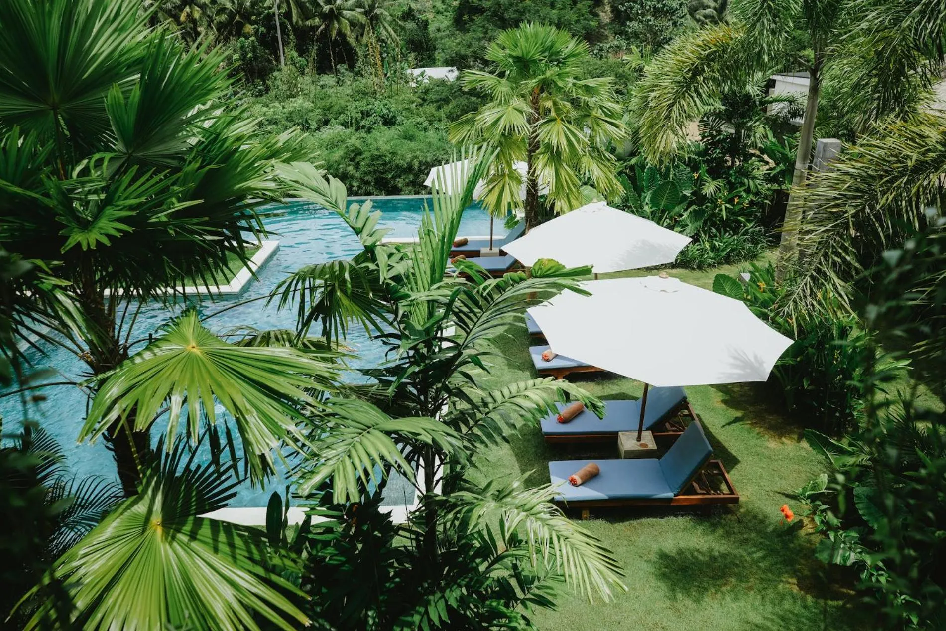Pool view in PORTER HOTEL - Surf & Yoga Retreat