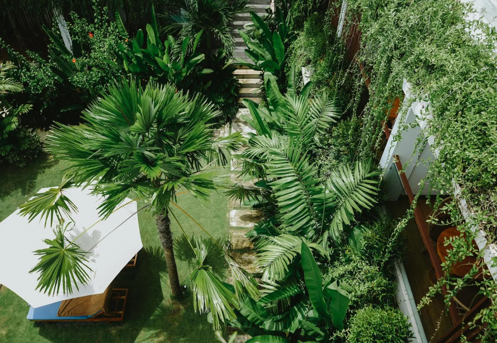 Garden in PORTER HOTEL - Surf & Yoga Retreat