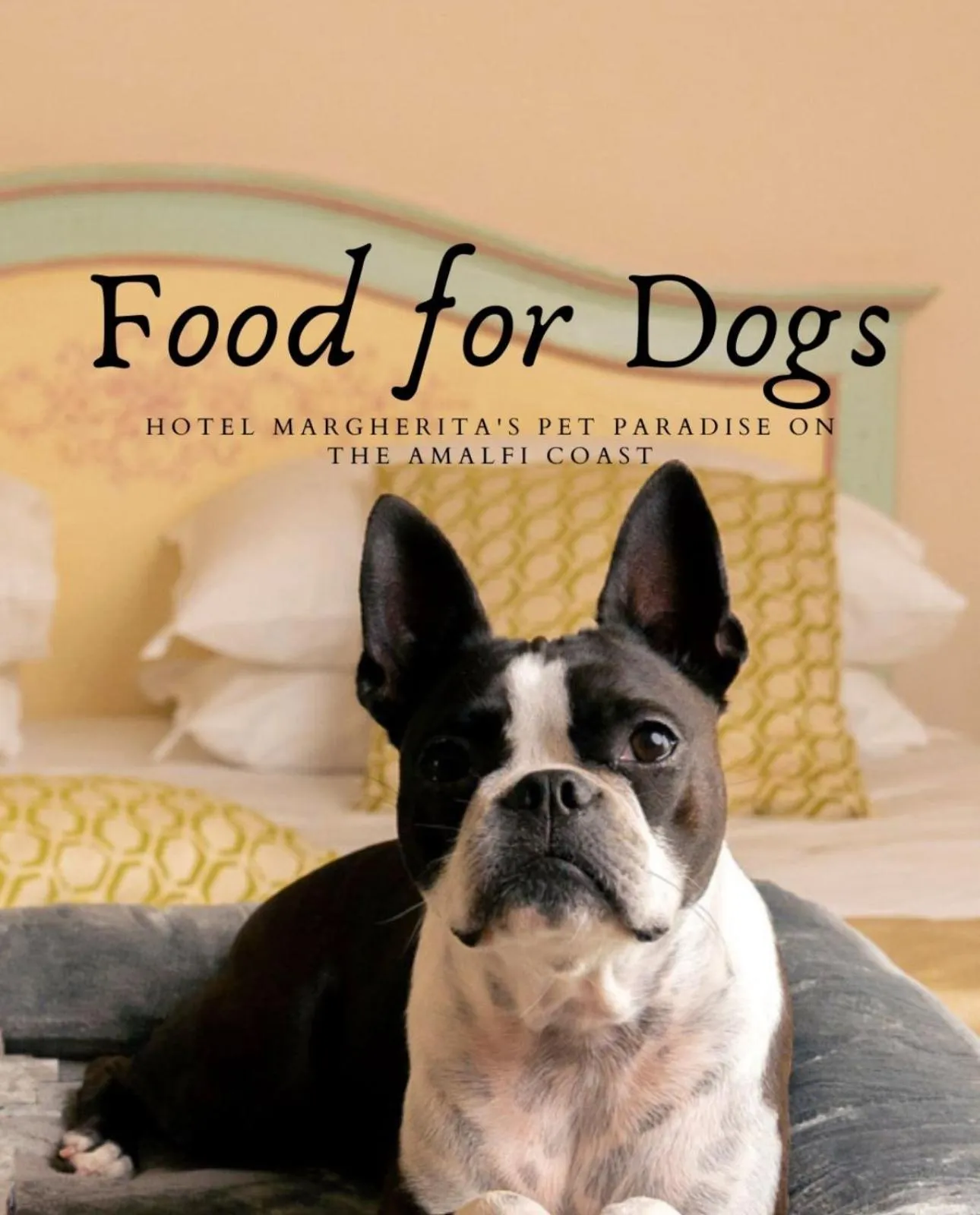 Pets in Hotel Margherita