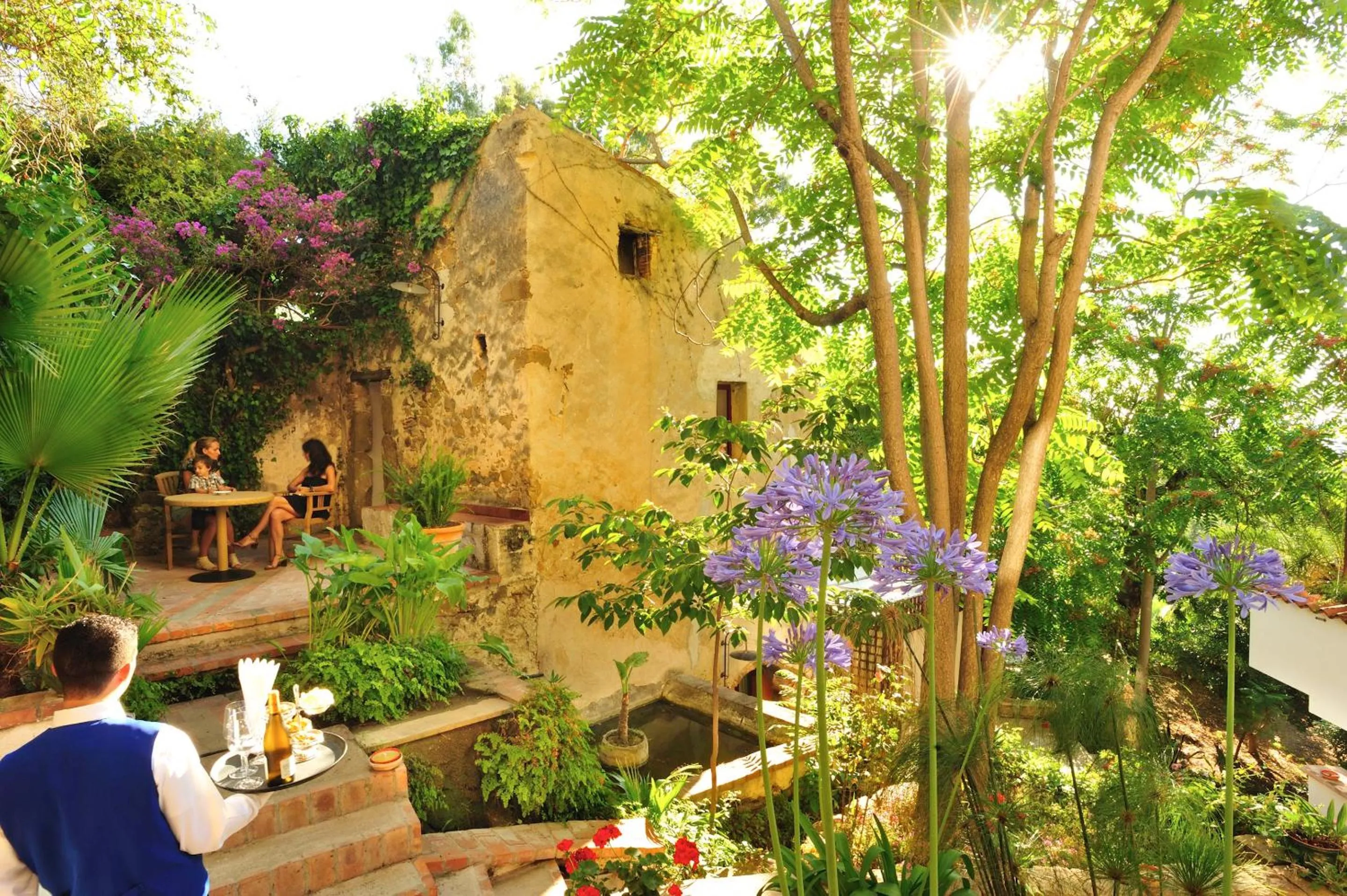 Garden in Alberi del Paradiso