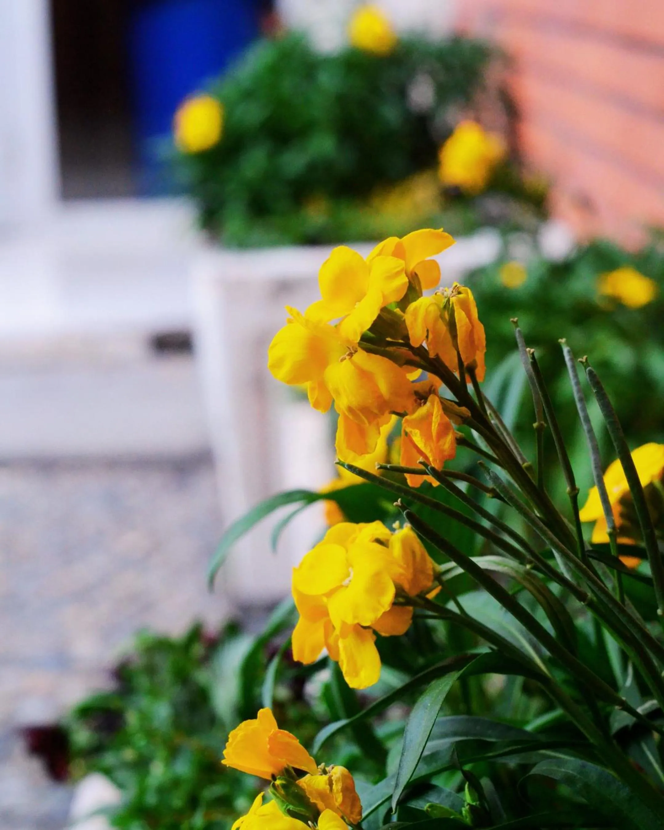 Property building in Chambre Privée - TOUT CONFORT - WIFI