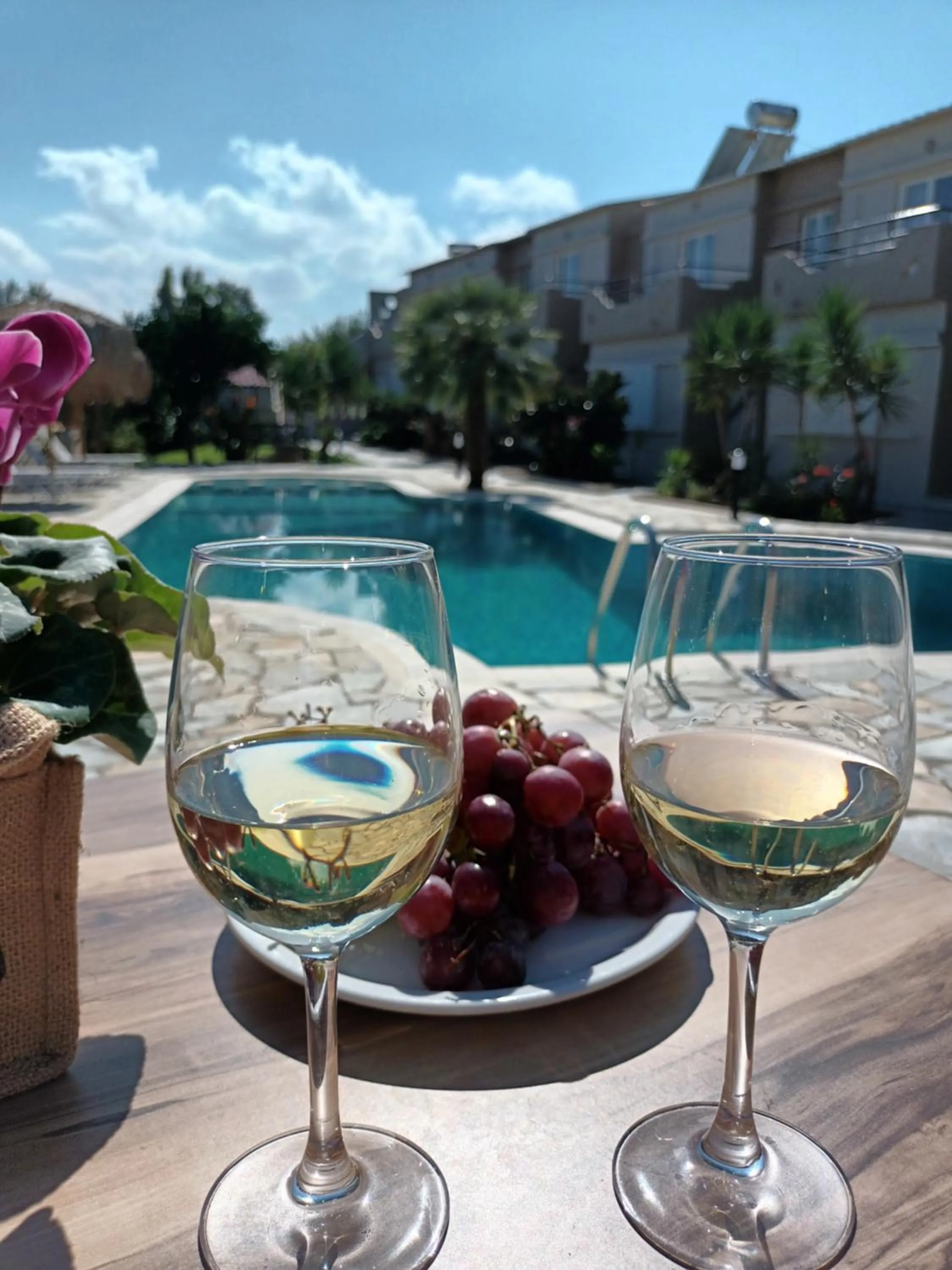 Food and drinks in Secret Garden Hotel