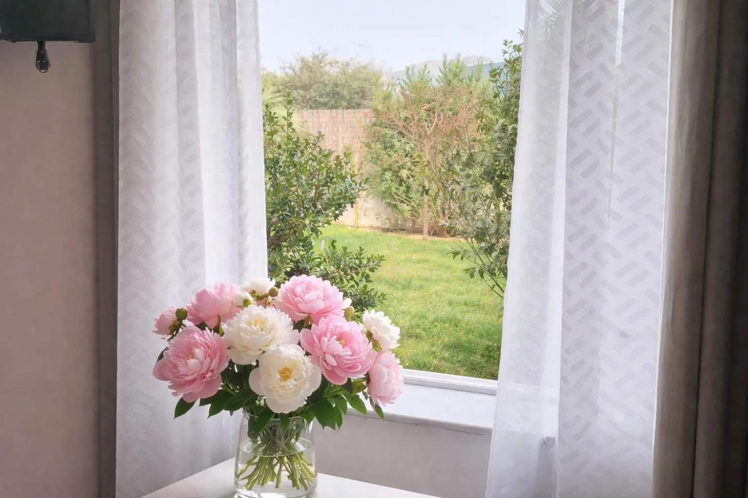 Garden view in Secret Garden Hotel