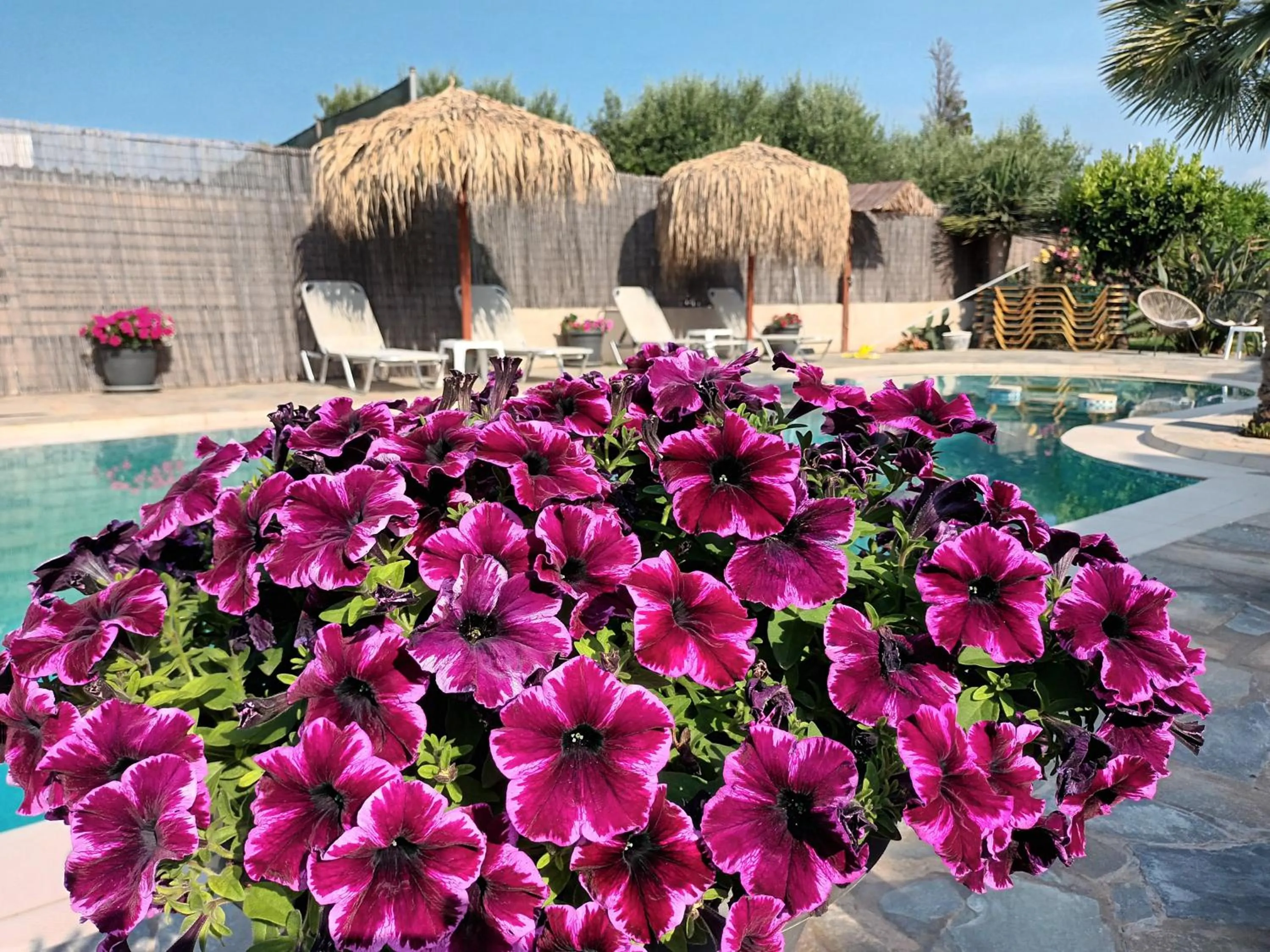 Swimming pool in Secret Garden Hotel