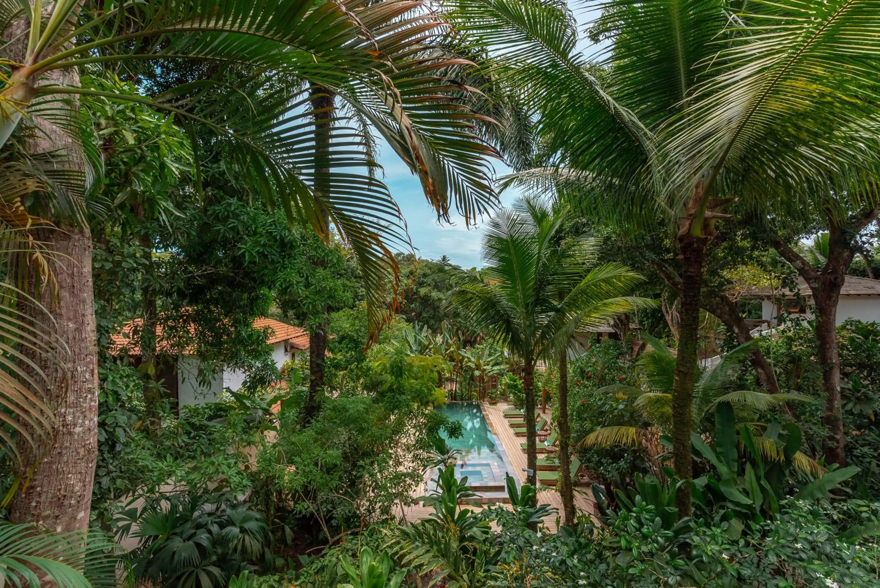 Garden in DA GRAÇA HOTEL