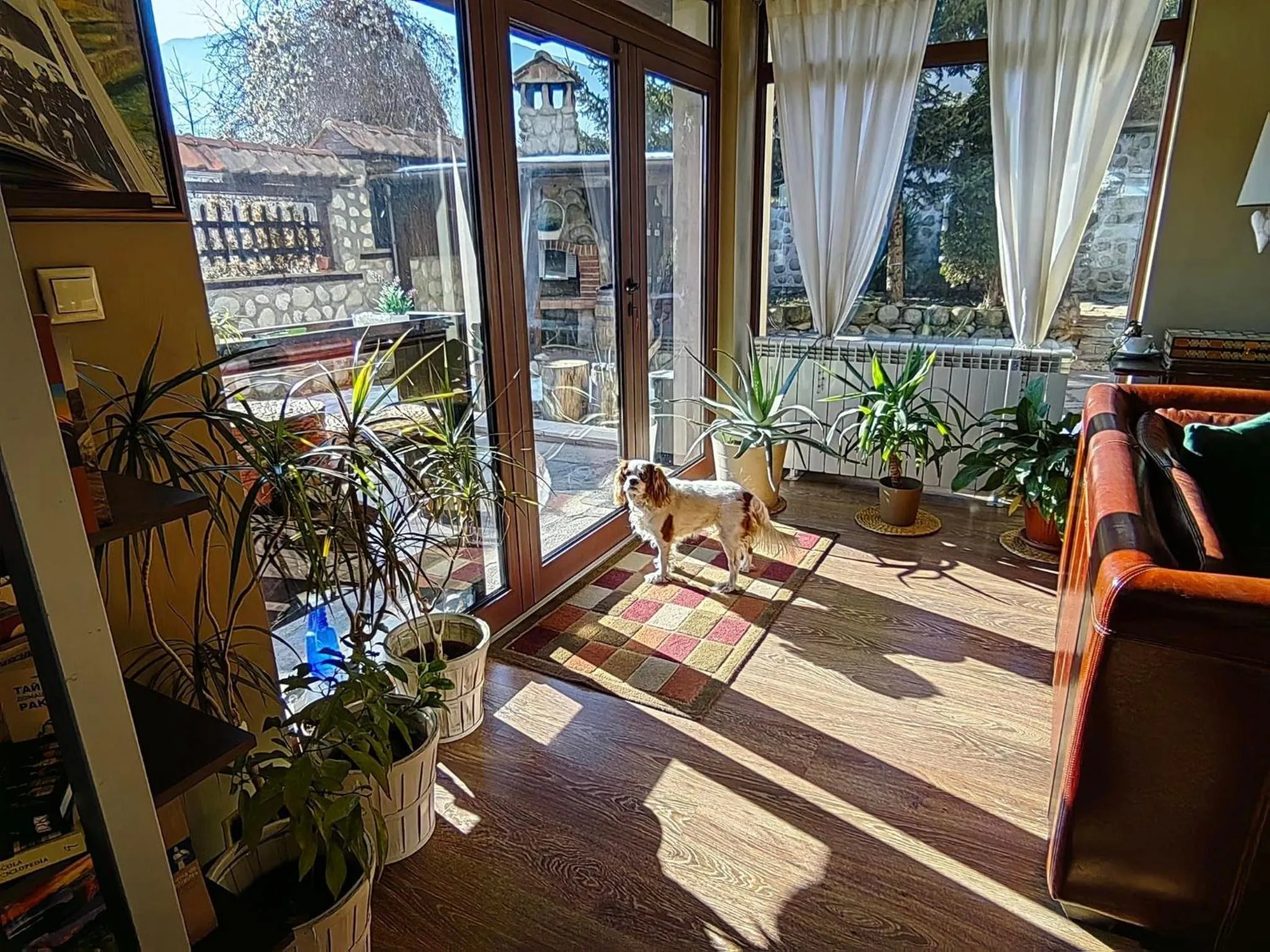 Patio in Hotel FAMIL - adults only
