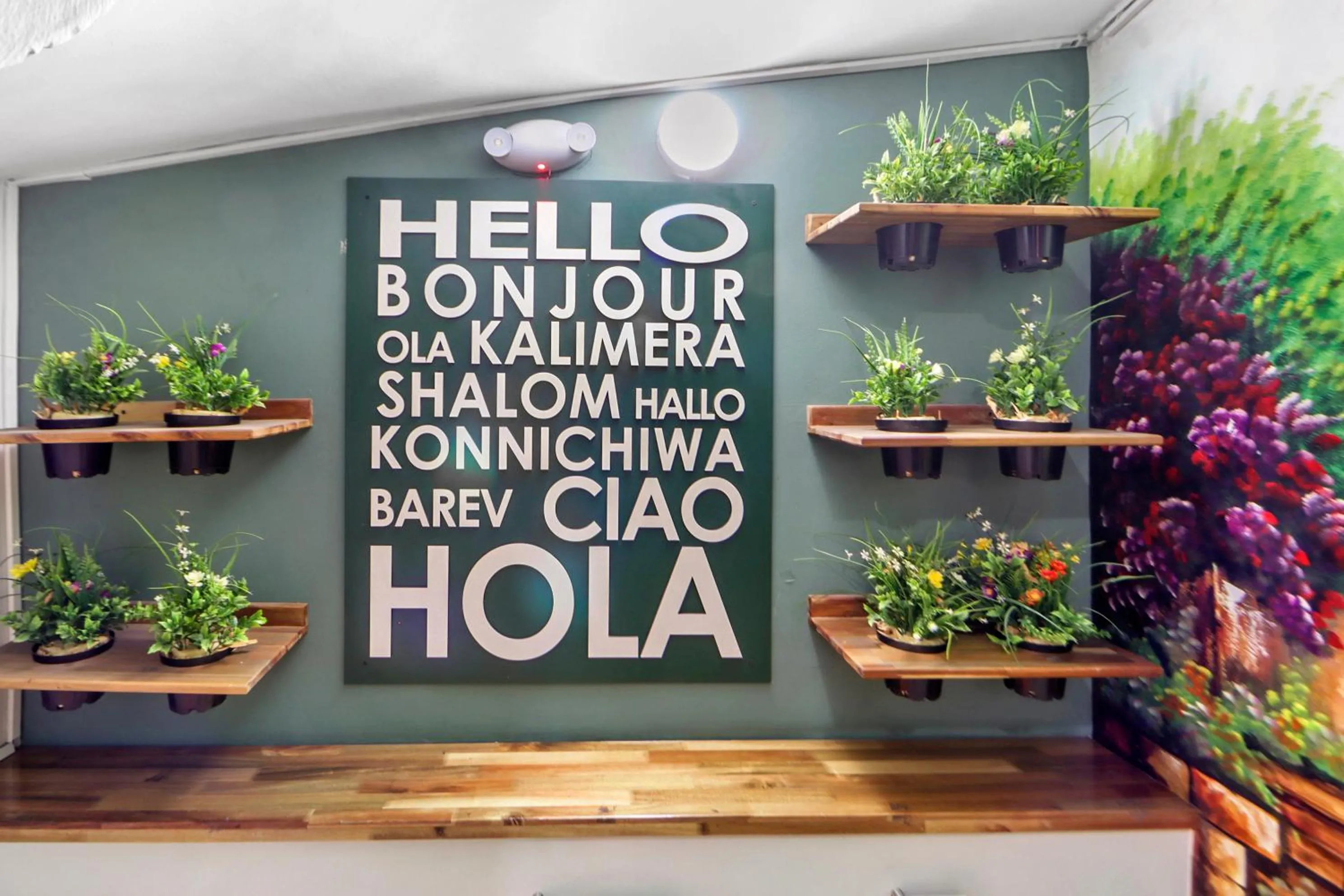 Area and facilities in Hotel de la Salle