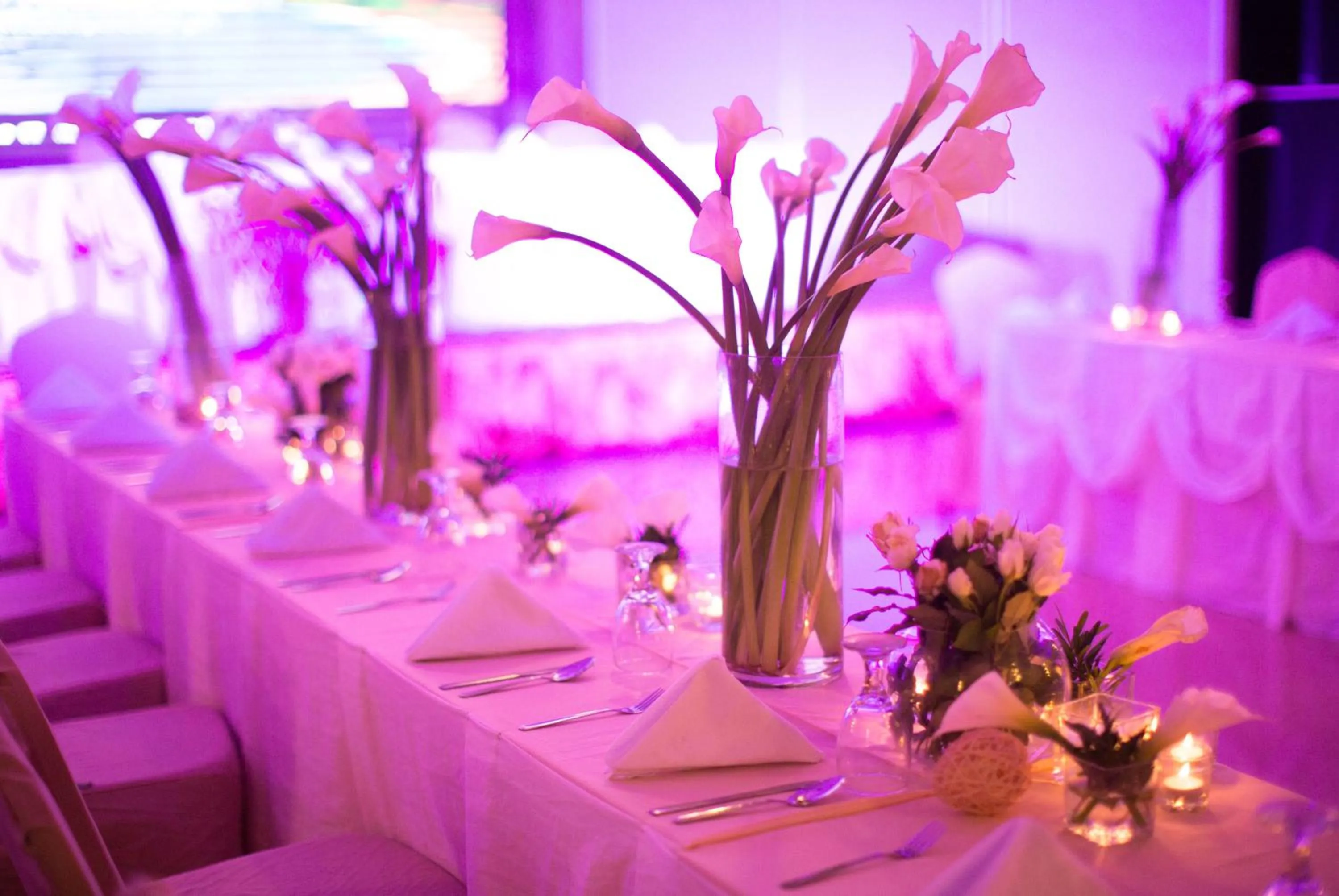 Restaurant/places to eat in Aziza Paradise Hotel