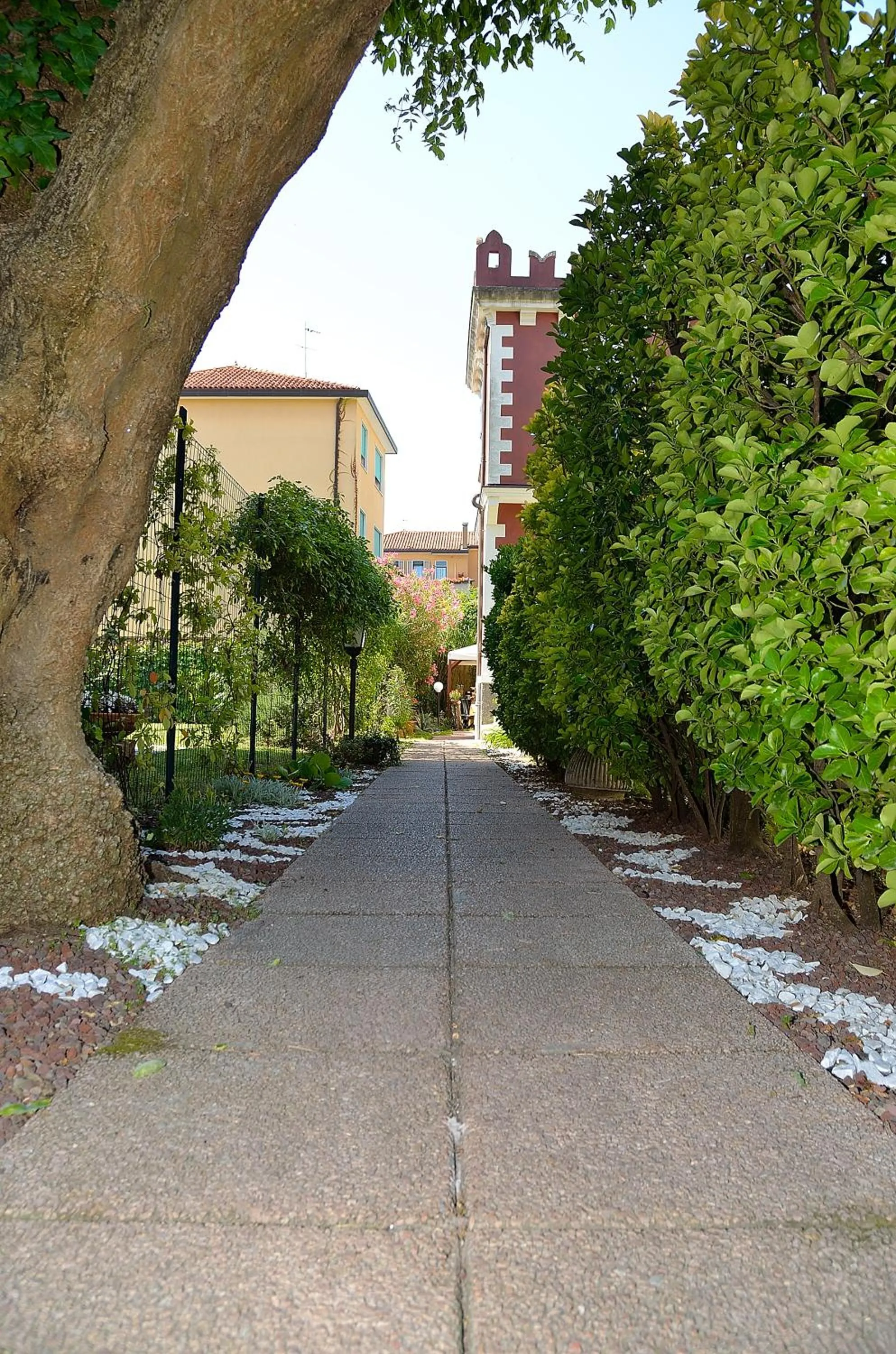 Garden in Villa Angelica