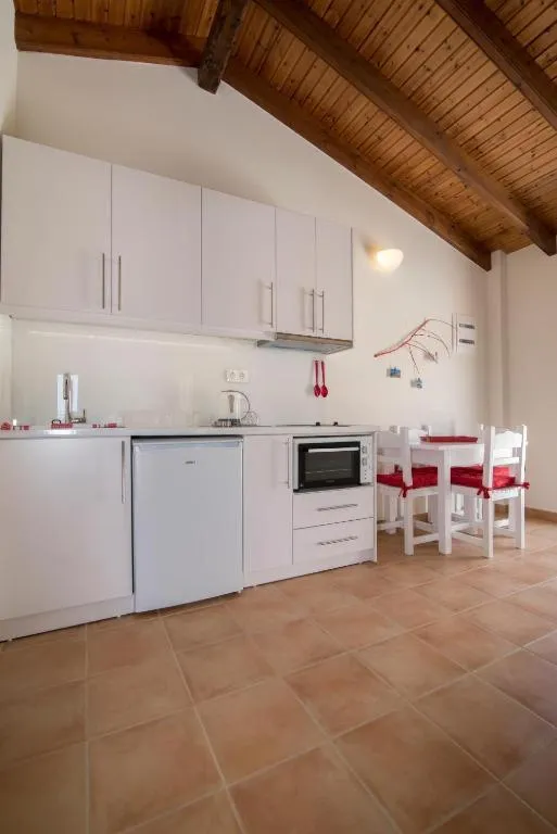 Kitchen or kitchenette in Filoxenia Kirki Apartments