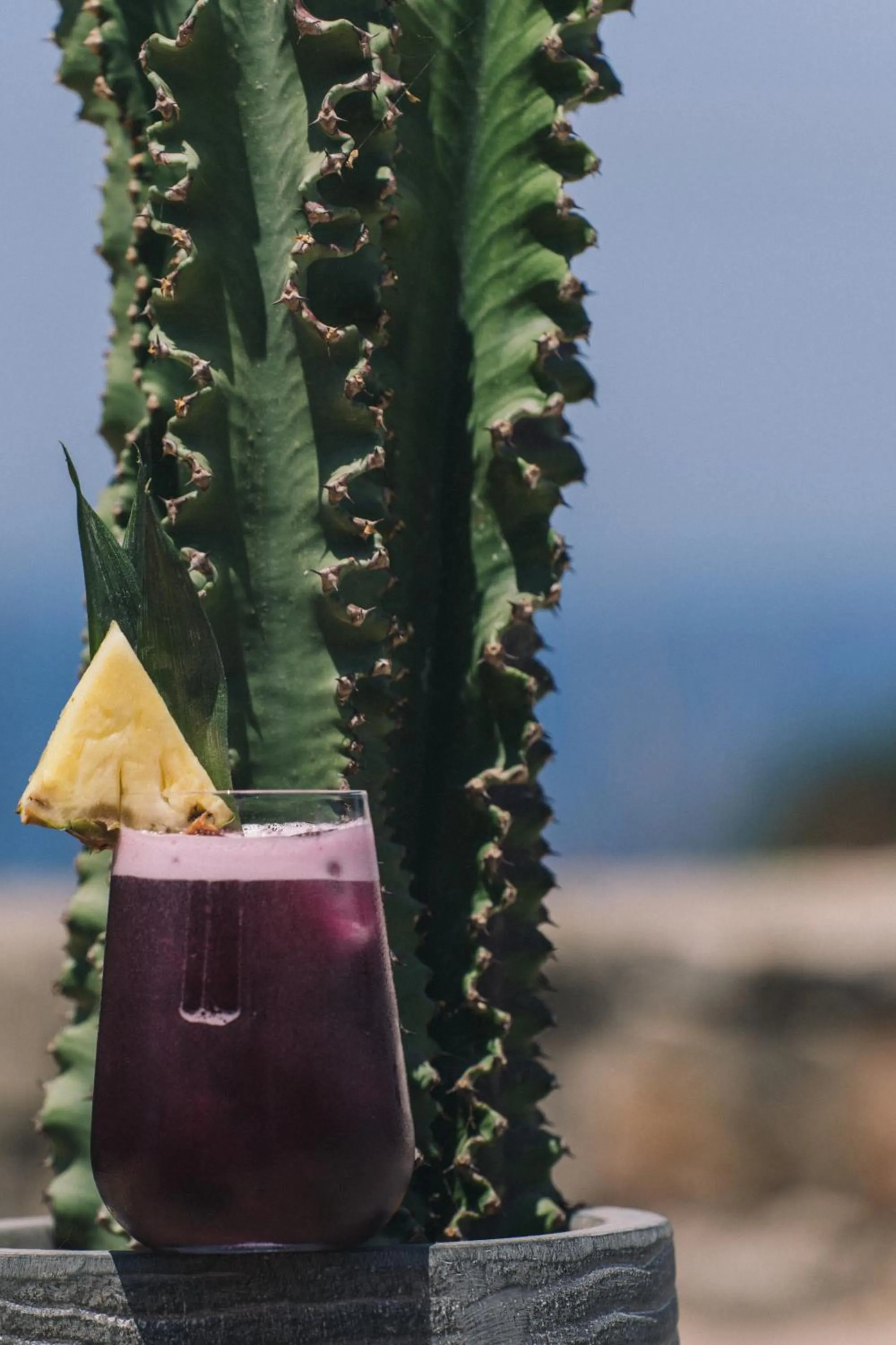 Lounge or bar in The Nest Resort