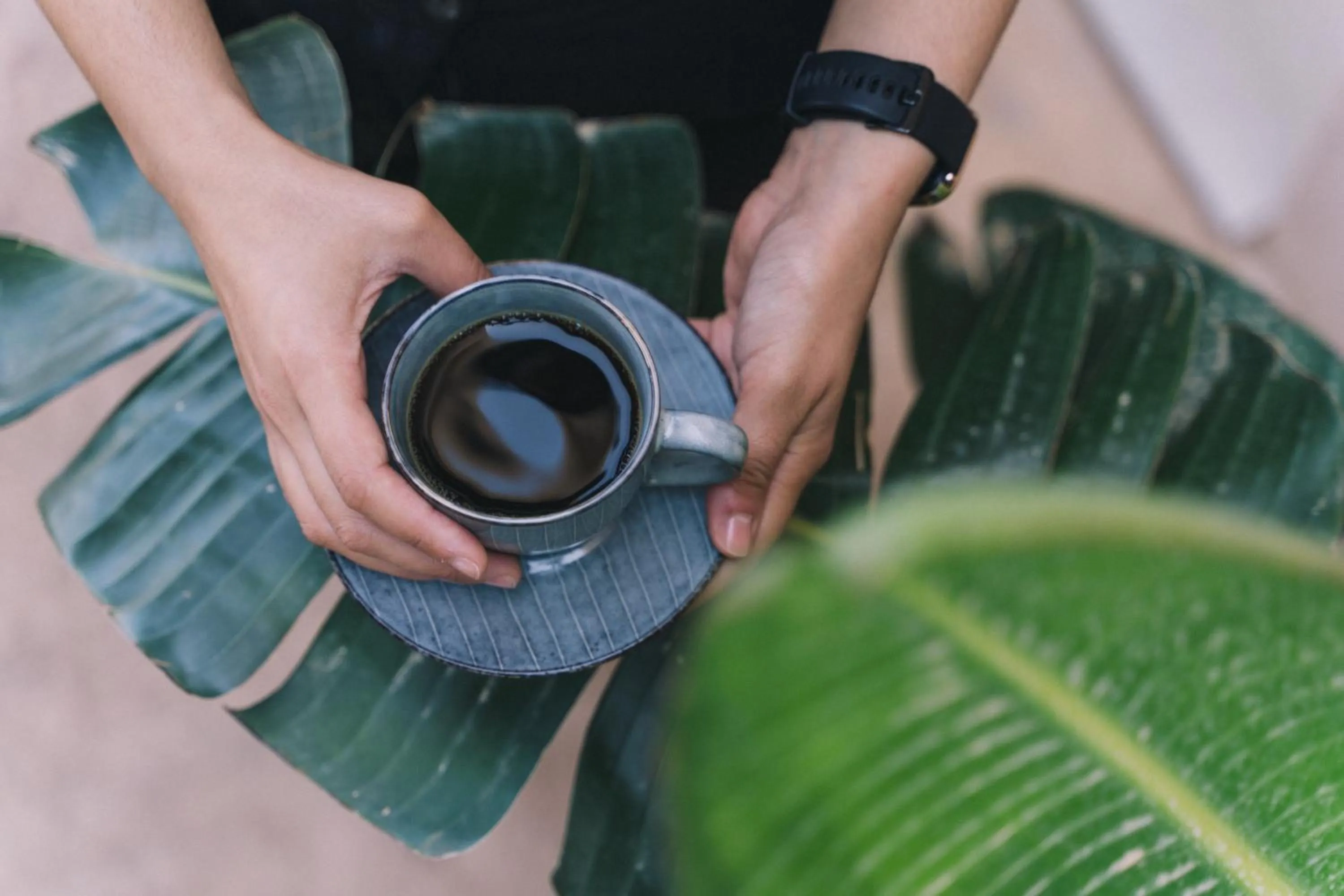 Breakfast in The Nest Resort