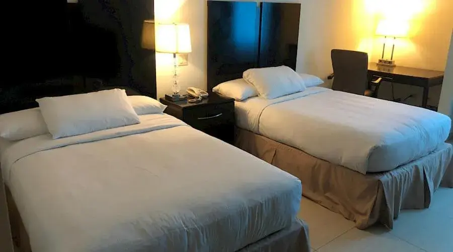 Deluxe Double Room with Two Double Beds in Studio Coliving Hotel Deluxe Double Room with Two Double Beds in Studio Coliving Hotel