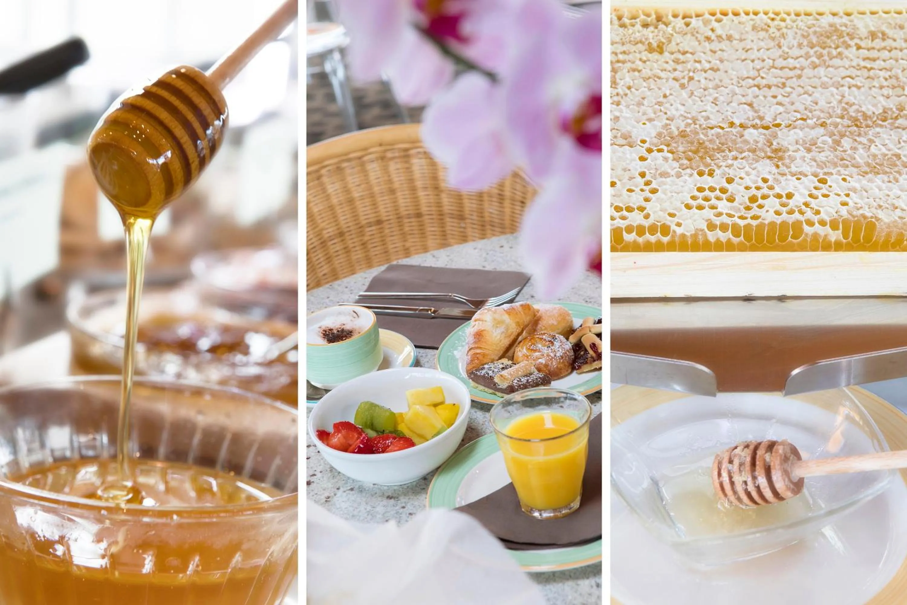 Breakfast in Hotel Torino Wellness & Spa