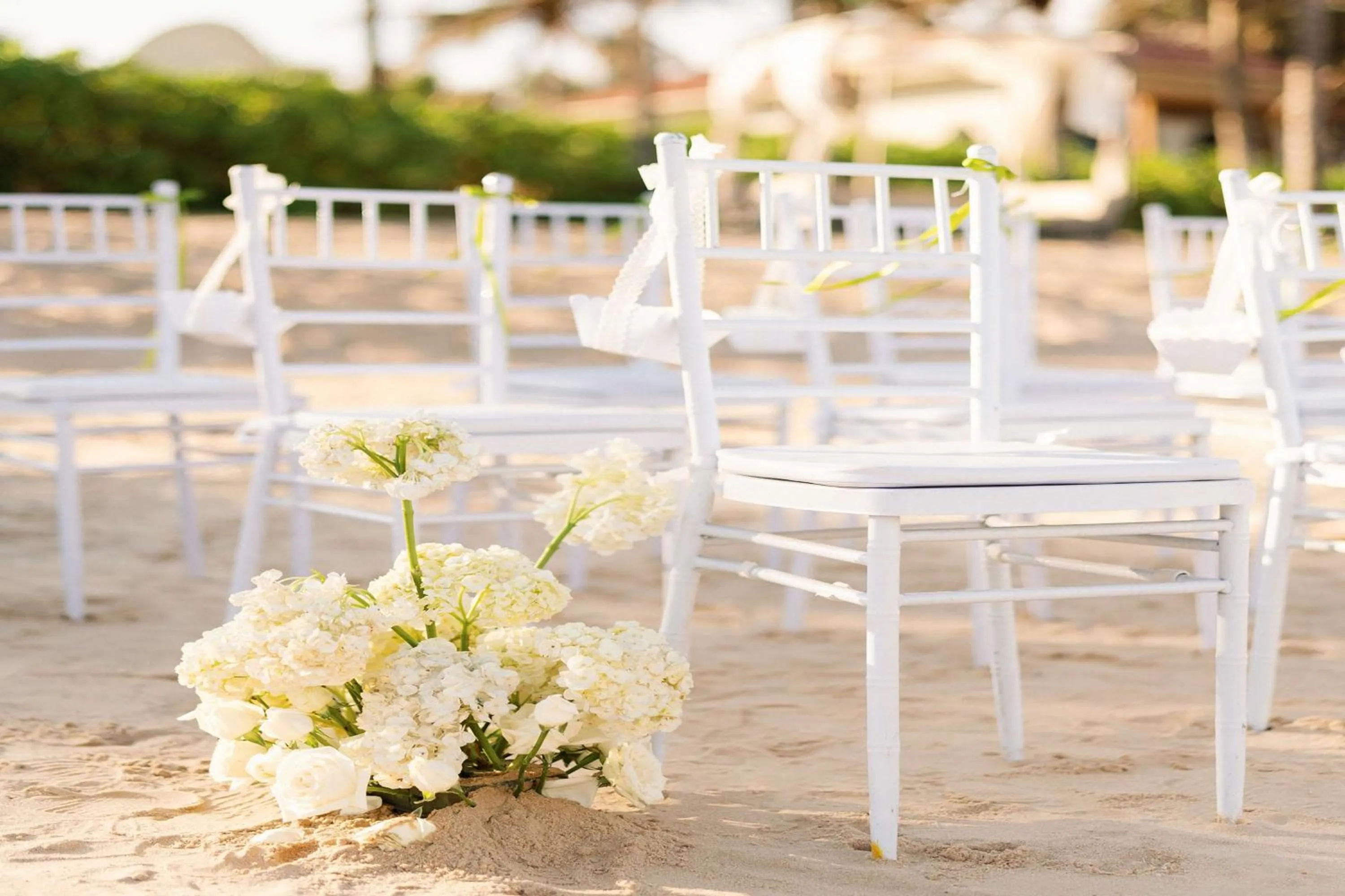 wedding in Radisson Resort Phan Thiet