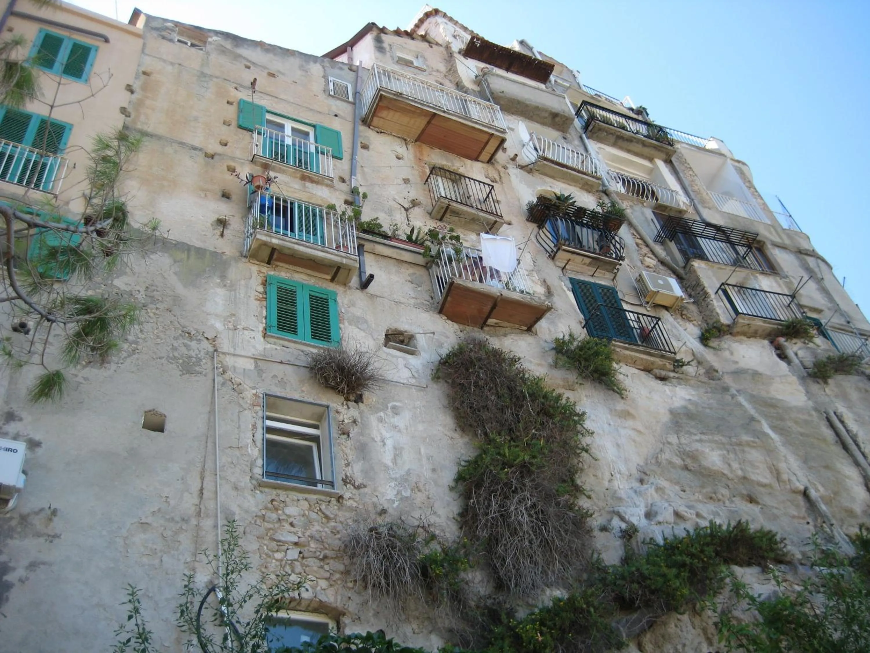 Area and facilities in Hotel Tirreno