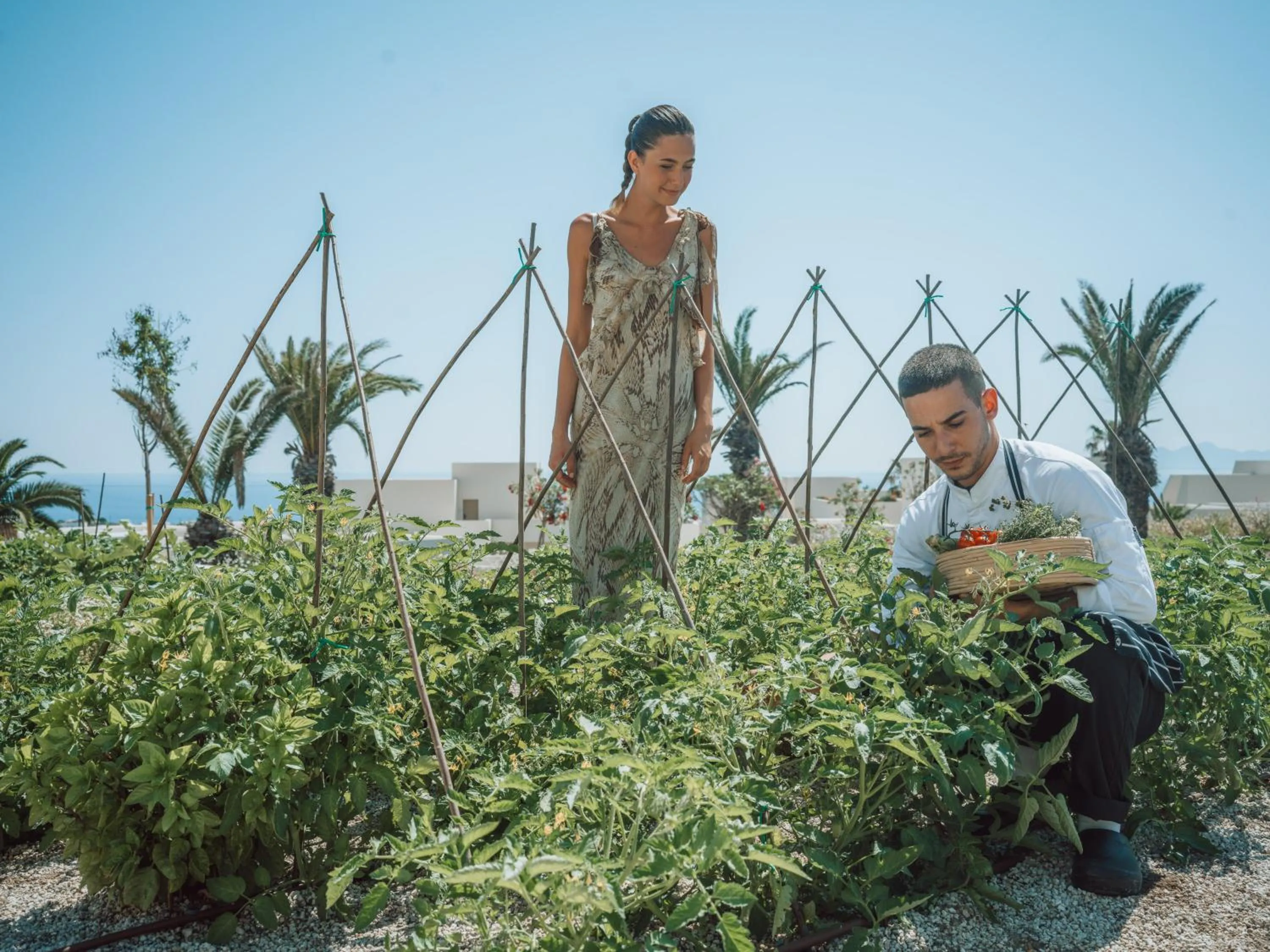 Garden in Noūs Santorini