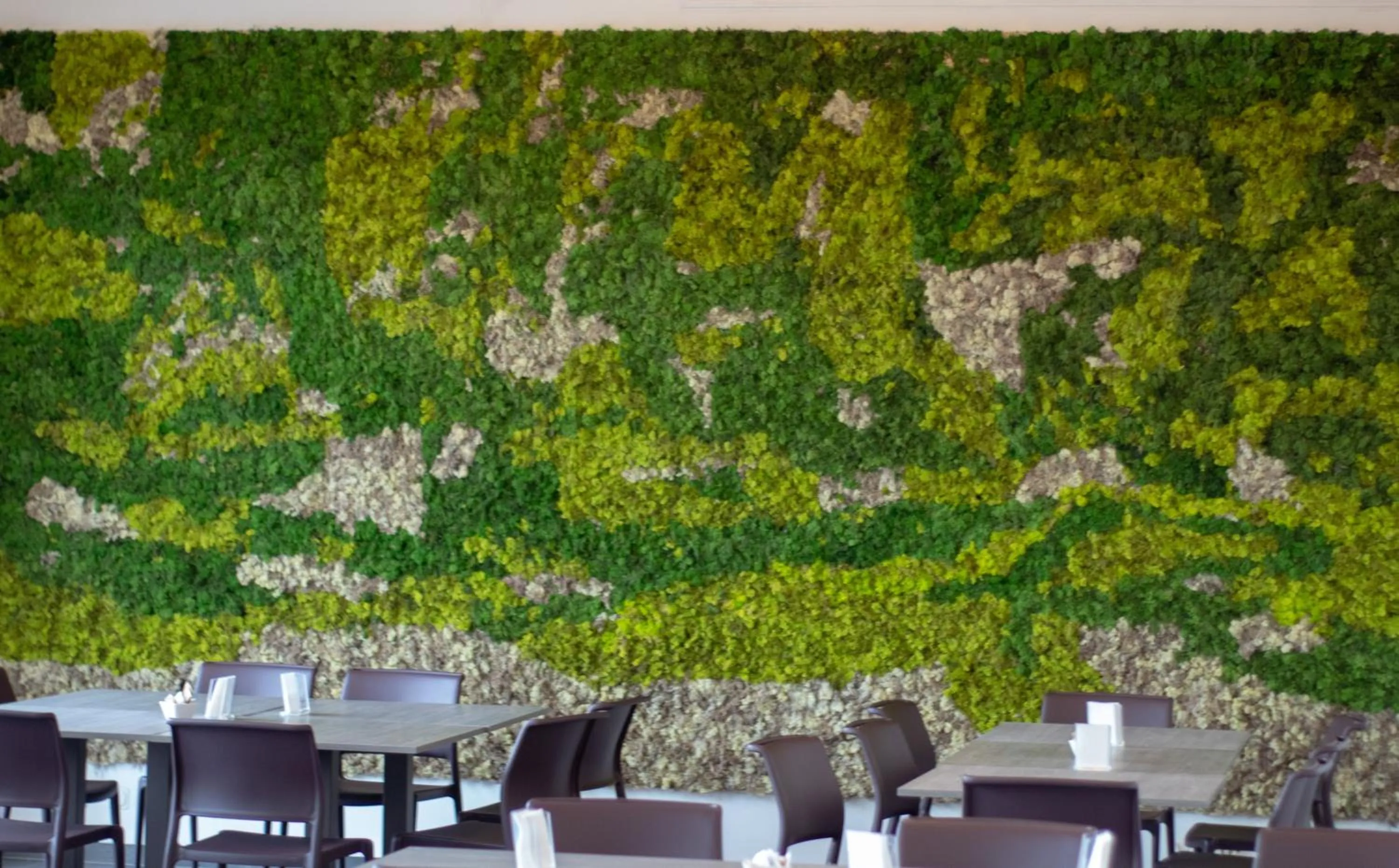 Restaurant/places to eat in Tiby Hotel